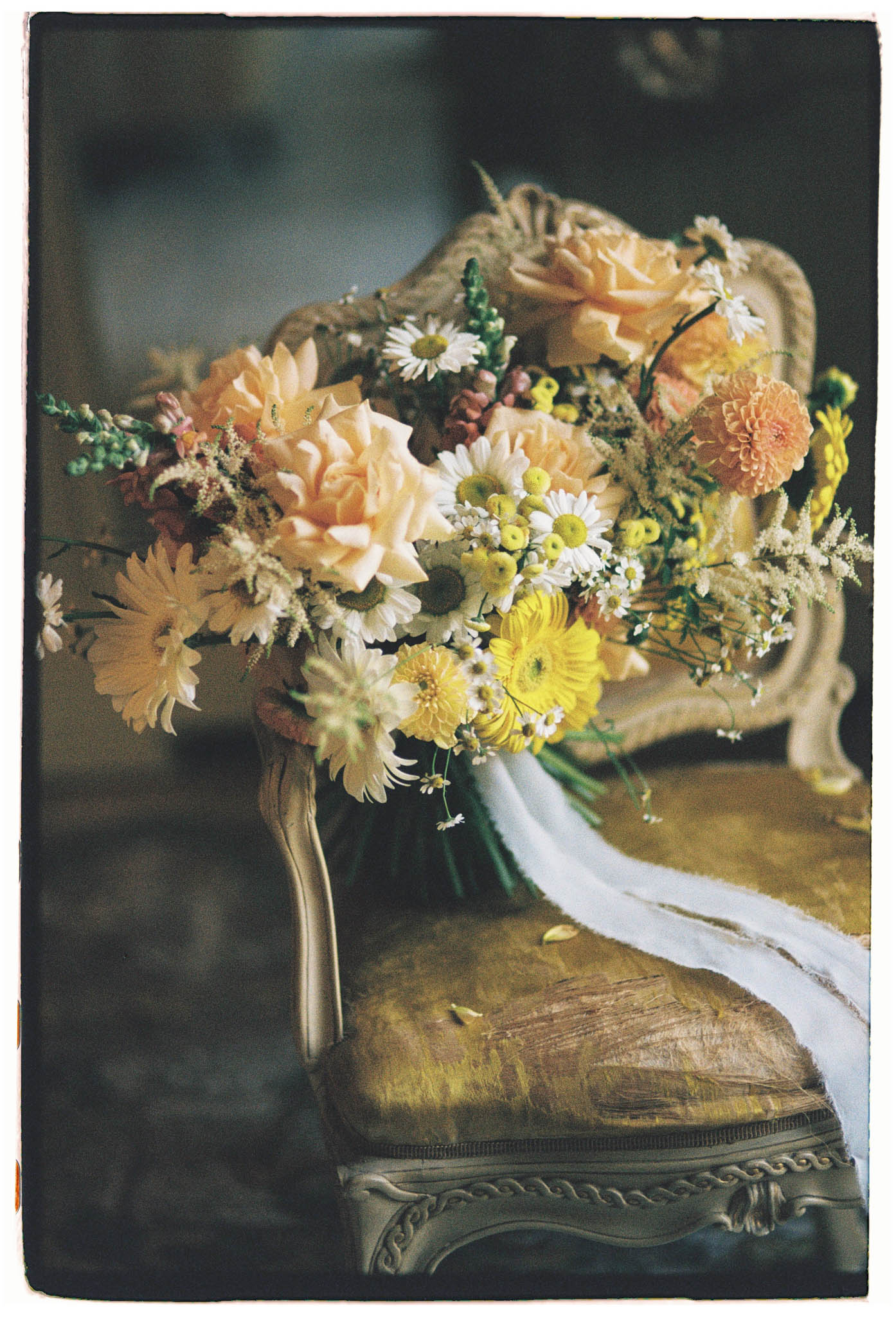 Valeria Pitarresi Photography portfolio 40