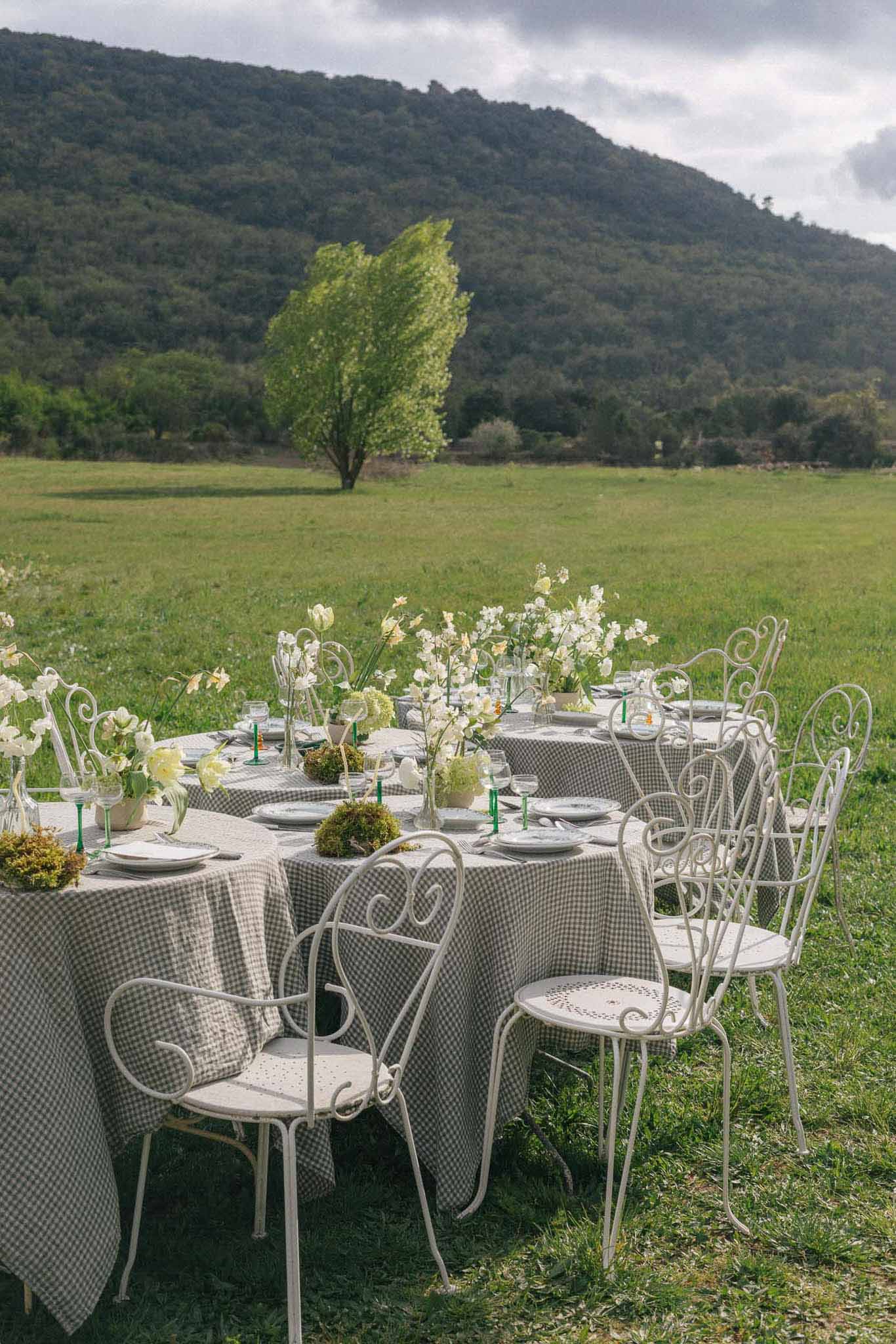 Outdoor reception table setup with gingham linens and white florals in mountain meadow setting