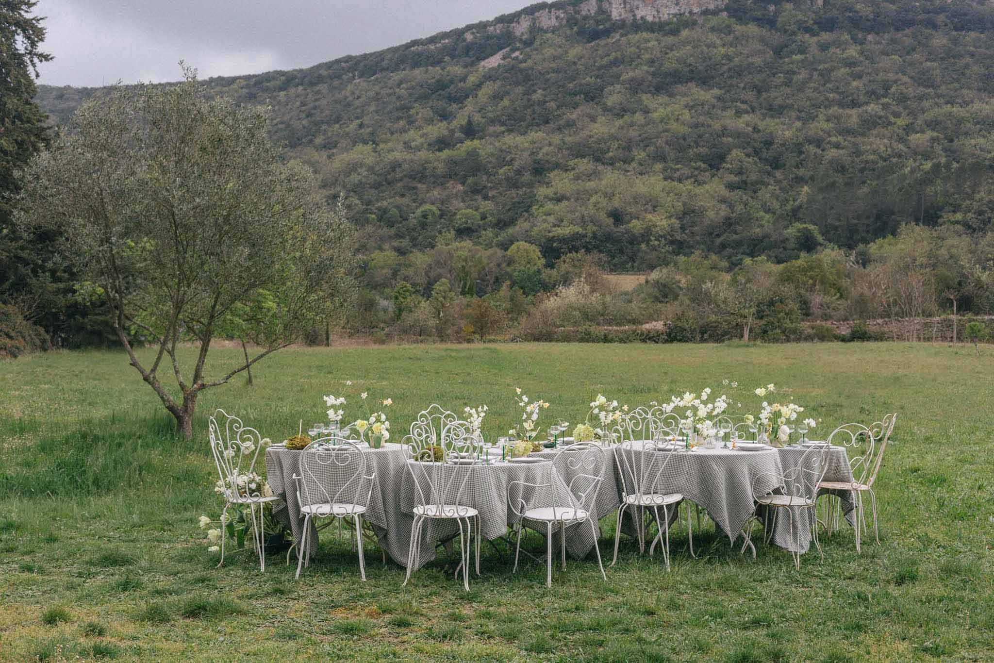 Outdoor reception tables with gingham linens and white florals in pastoral countryside setting