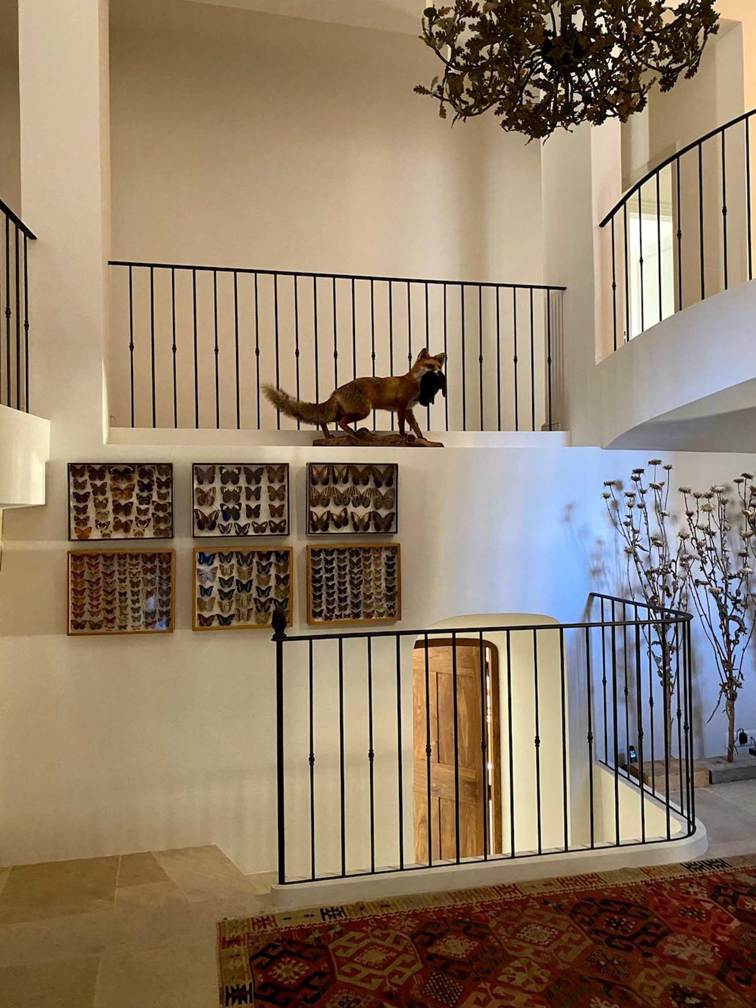 Double-height entrance hall with curved wrought-iron balustrades, dried botanical chandelier, and butterfly displays