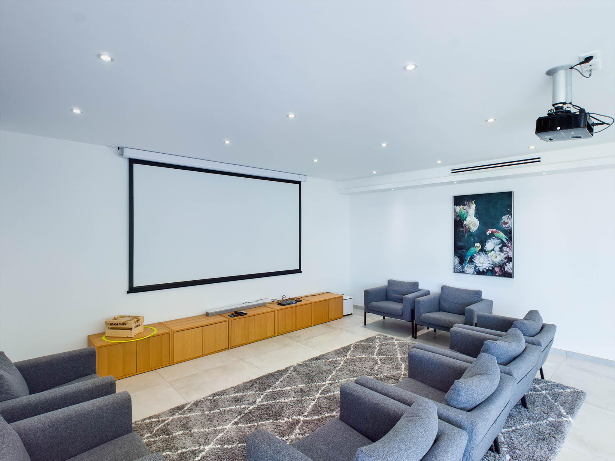 Home cinema room with projector, grey armchairs, wooden media console, and parrot artwork on wall