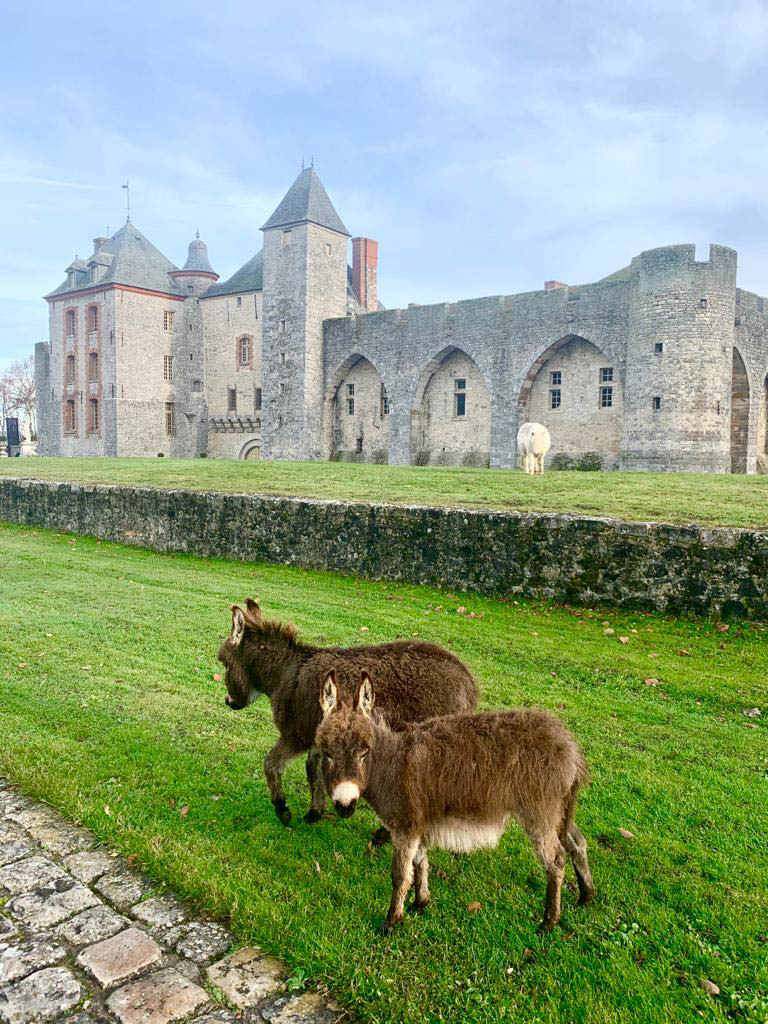 Medieval French chateau exterior with grey stone walls and slate rooftops, donkeys grazing on front lawn