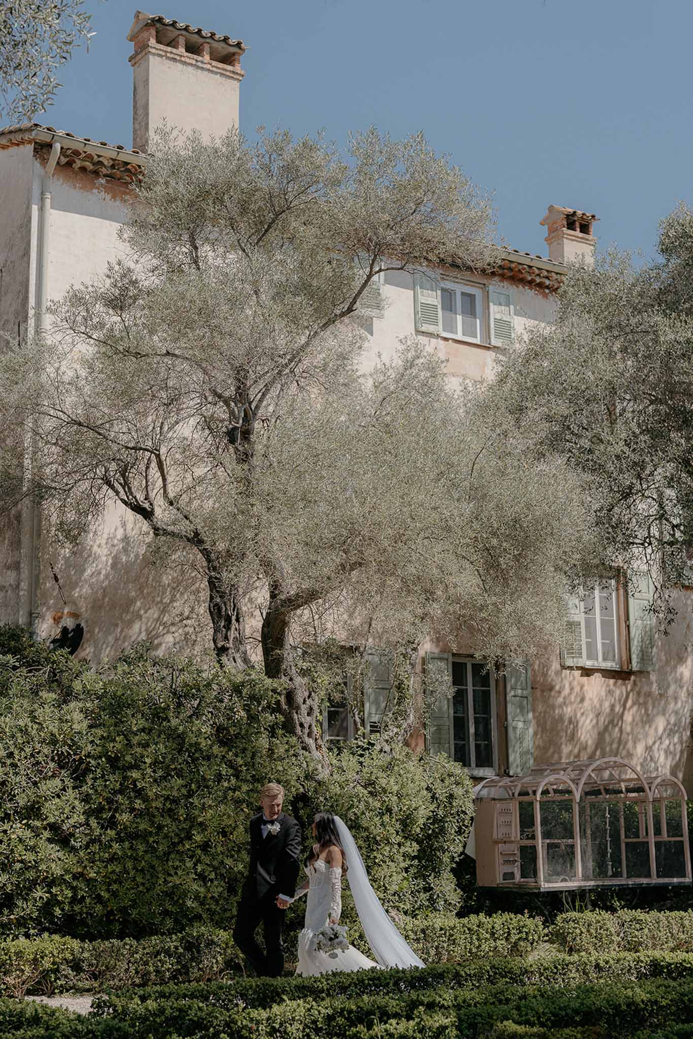 Bride and groom holding hands among olive trees before ochre Provencal mas with green shutters