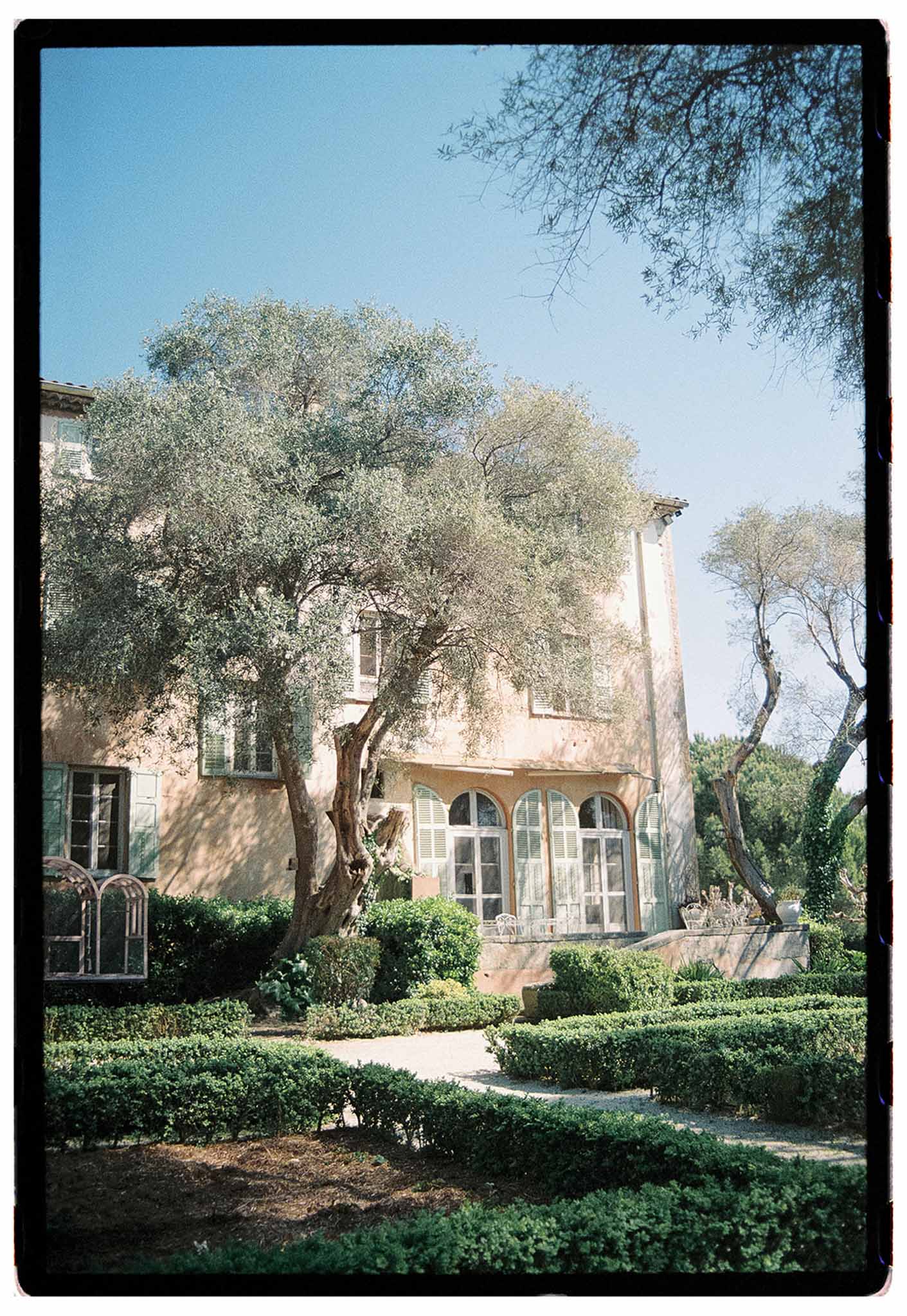 Provencal manor house with sage-green shutters, formal box hedging, and mature olive tree in foreground