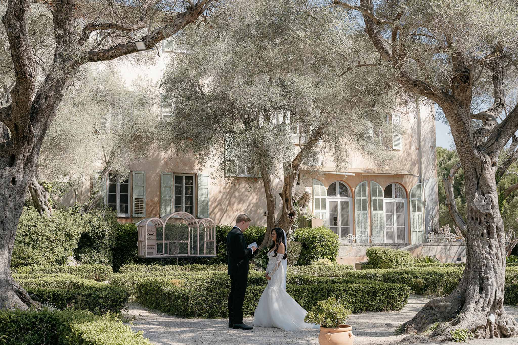 Groom reading vows to bride under olive trees with ochre bastide and boxwood hedgerows in background