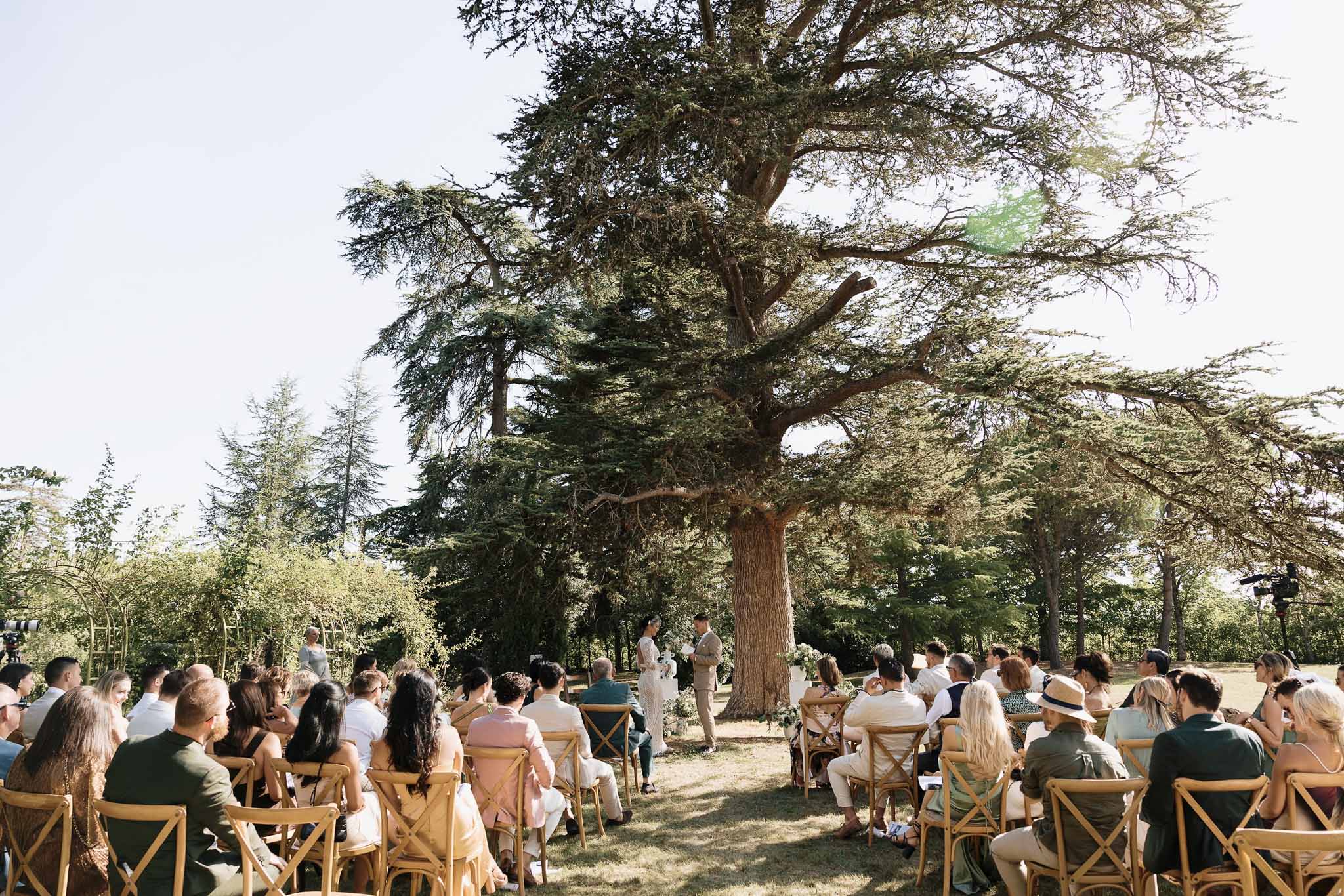 Outdoor wedding ceremony beneath a large cedar tree with guests seated in wooden cross-back chairs