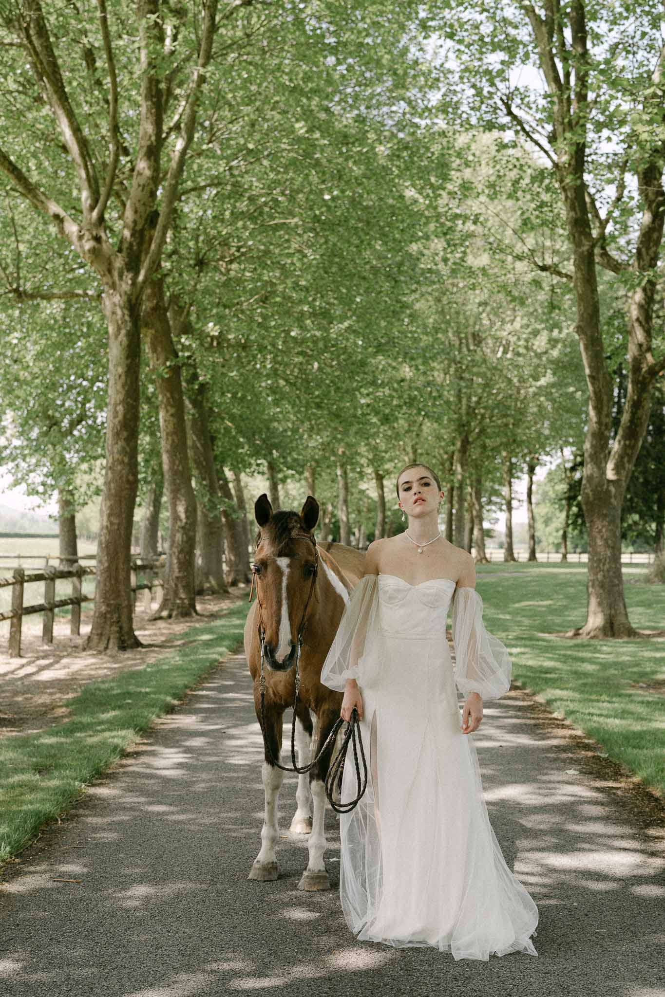 Bride with horse on tree-lined avenue in countryside wedding portrait