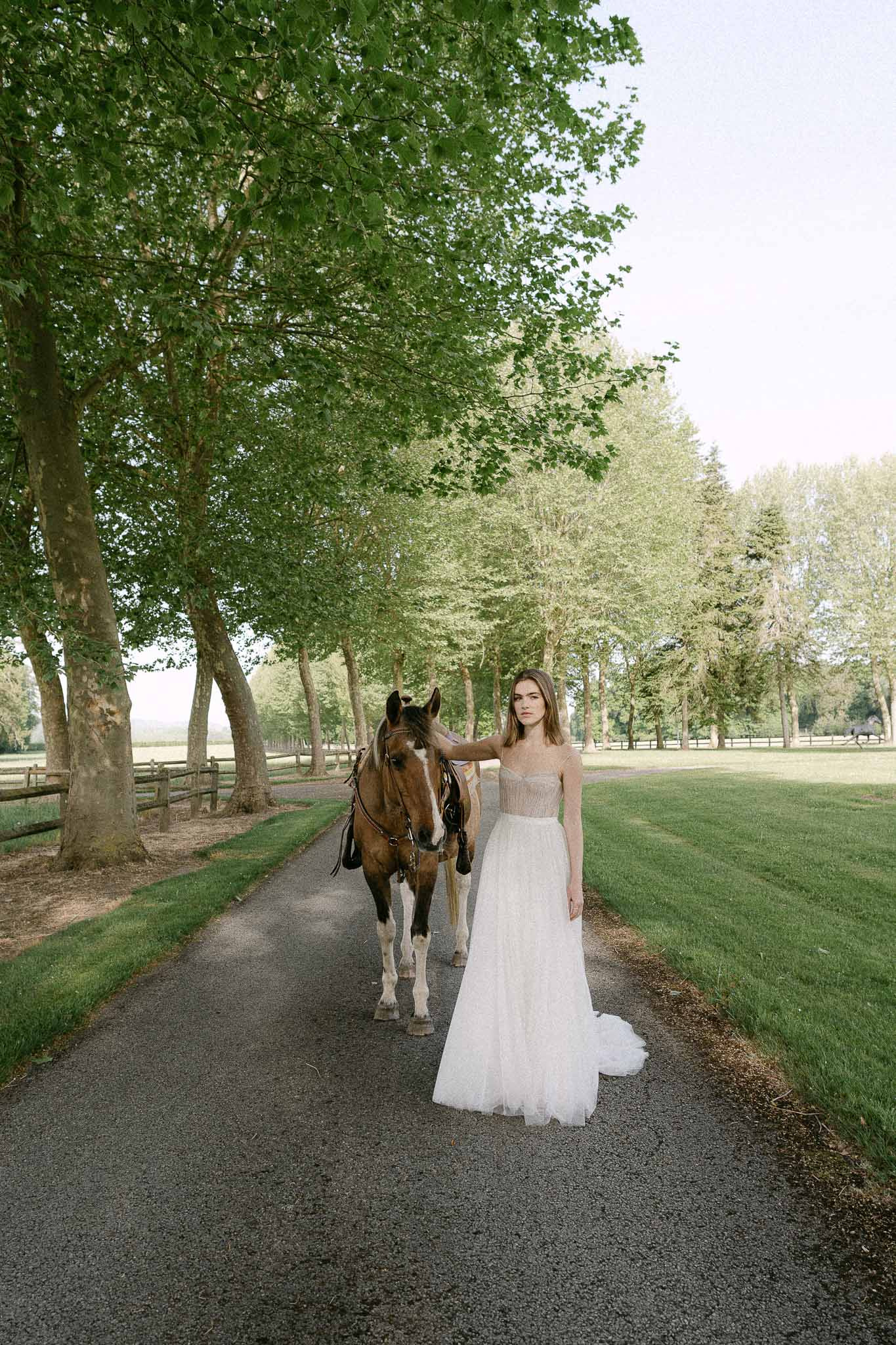 Bride in ivory gown with horse on tree-lined path at countryside estate