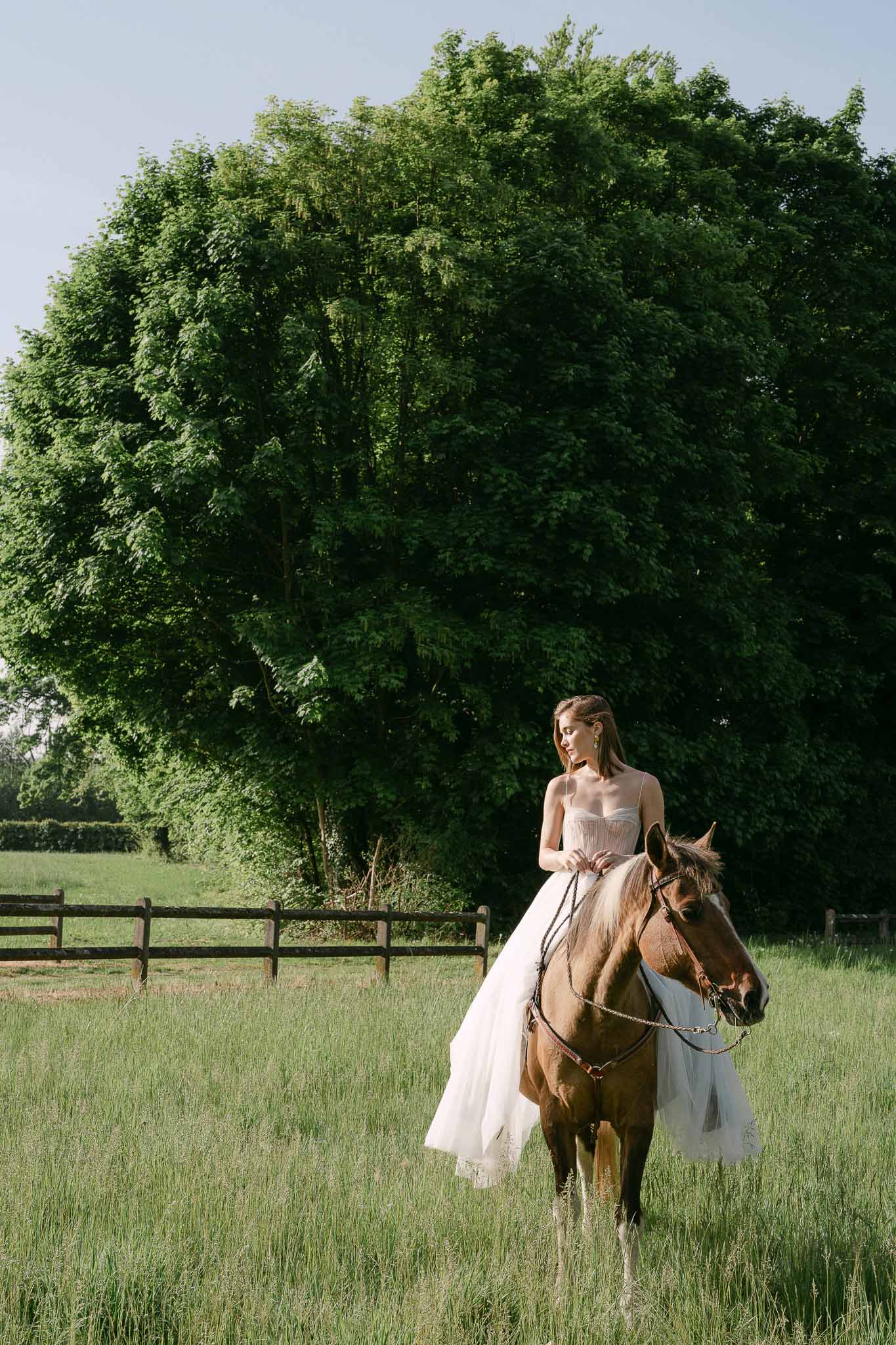 Bride on horseback in ivory wedding dress in countryside setting with green foliage background