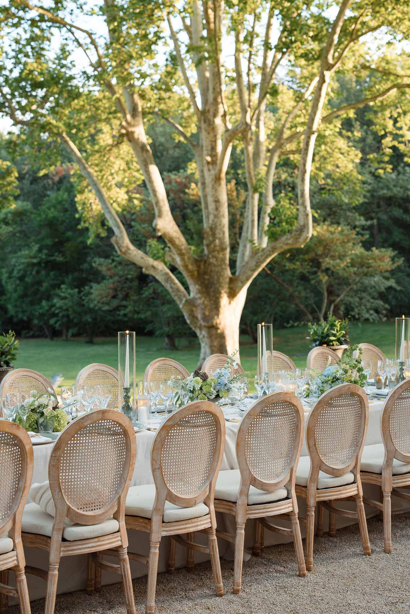 Outdoor reception table setup under large tree with white linens and blue floral centerpieces in garden setting