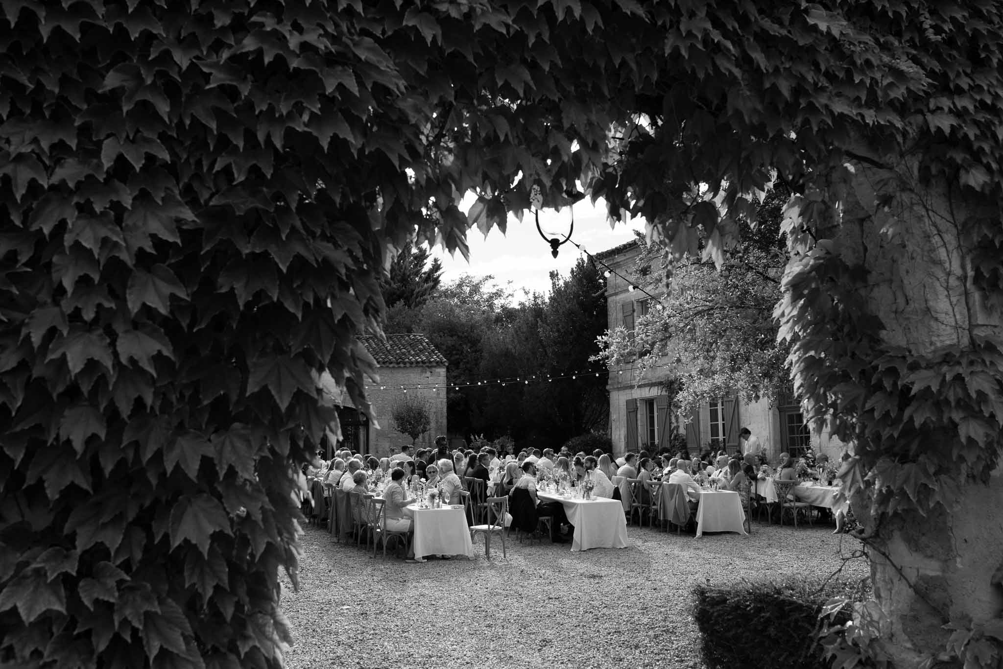 Black and white wide shot of outdoor reception dinner through ivy archway with guests at round tables