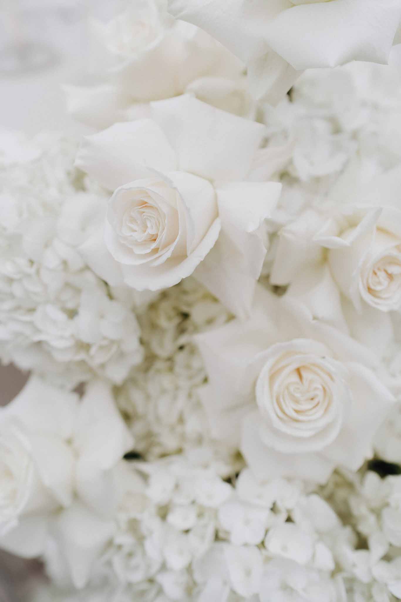 Close-up of all-white floral arrangement with cream roses, hydrangeas, and ranunculus
