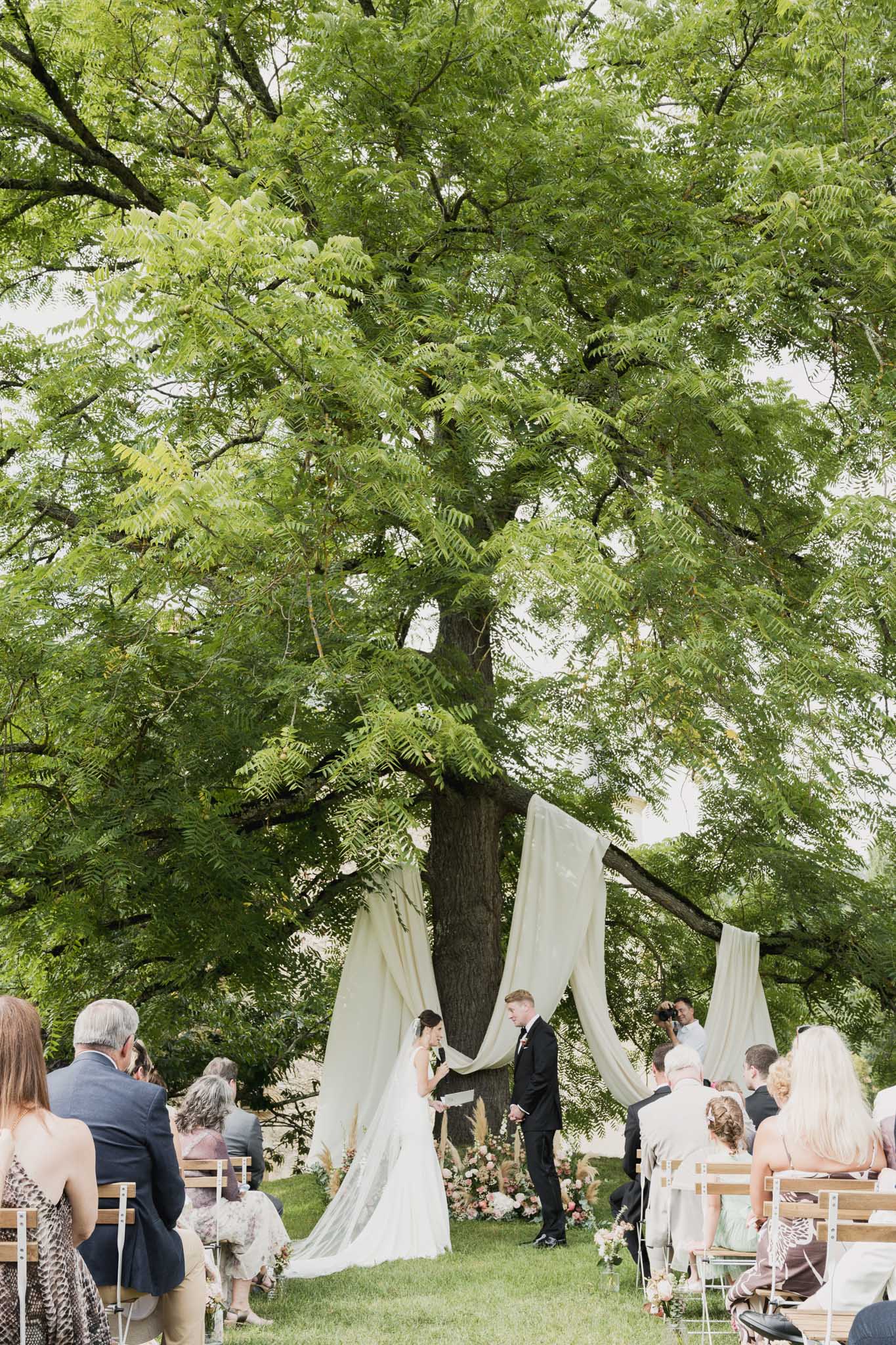 Outdoor wedding ceremony under tree with draped ivory fabric and seated guests in garden setting