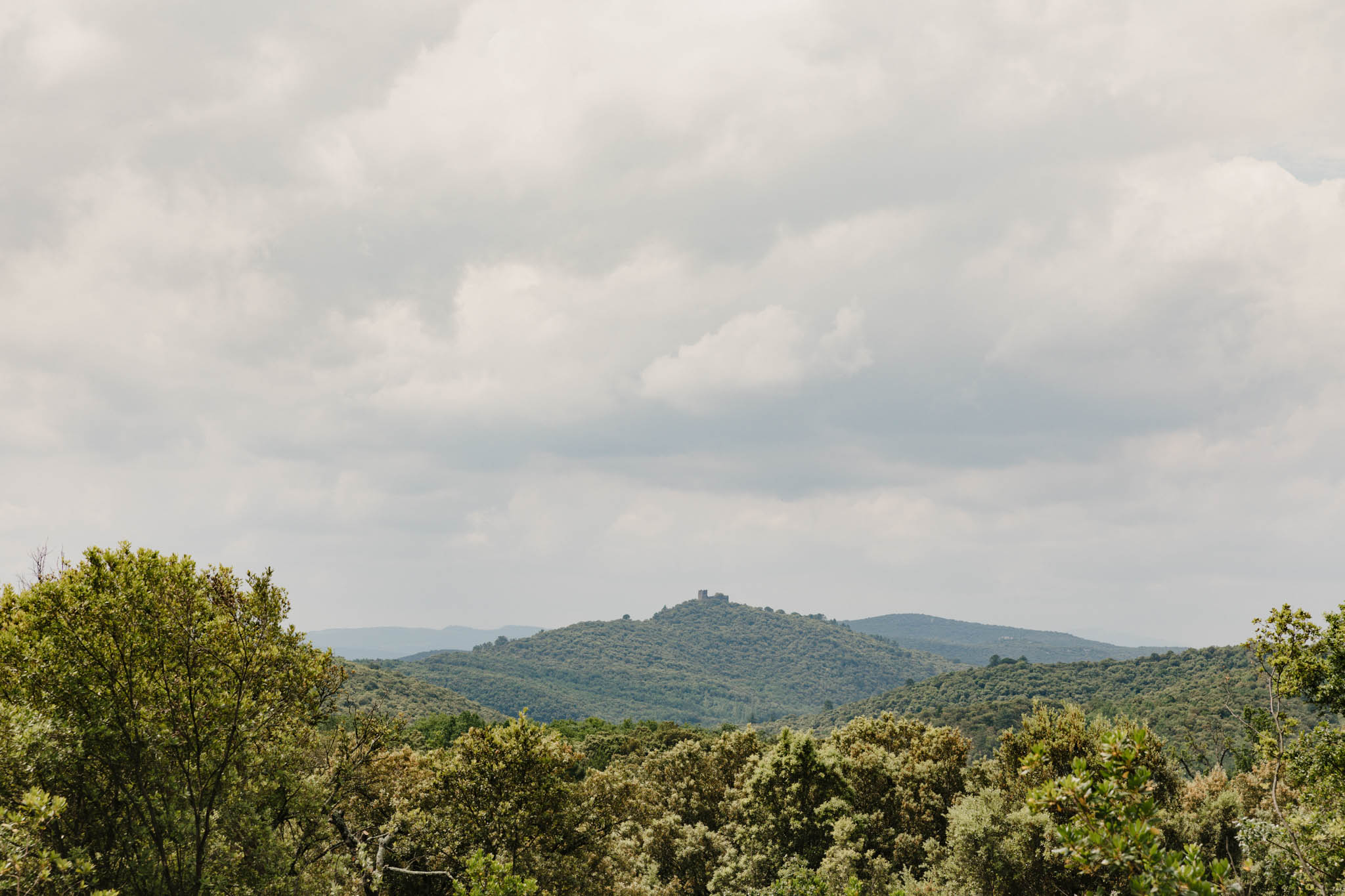 Panoramic view from venue grounds showing green tree canopy and medieval tower ruin on distant hilltop