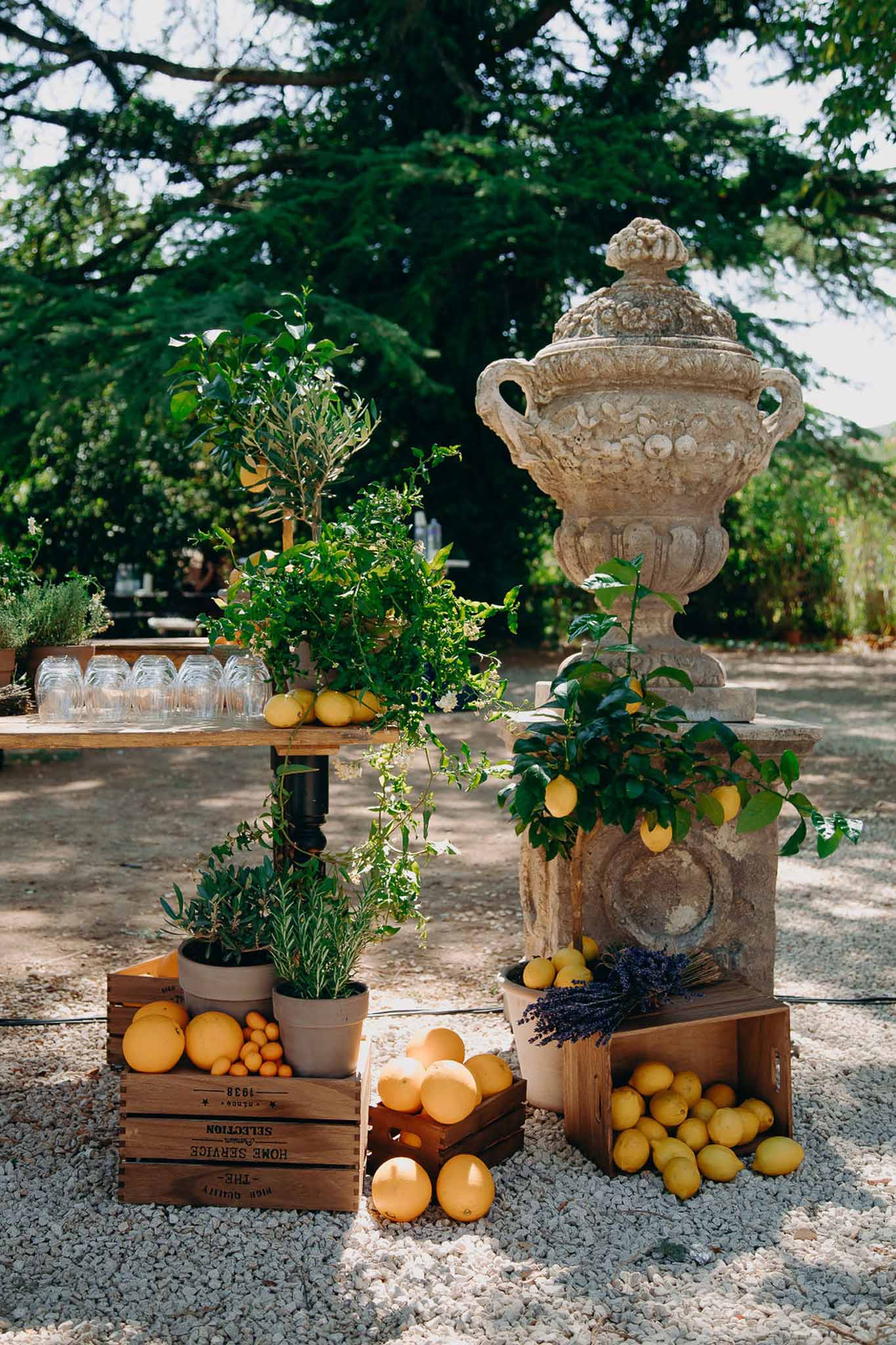Provencal citrus-themed cocktail display with lemons, oranges, wooden crates and rustic drinks table on gravel
