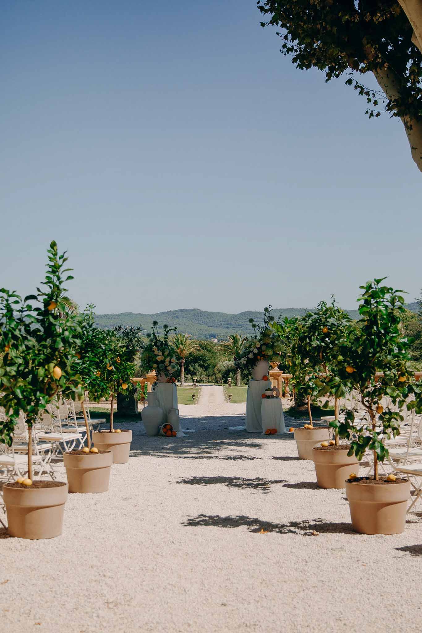 Outdoor ceremony aisle lined with potted citrus trees and white chairs overlooking rolling hills