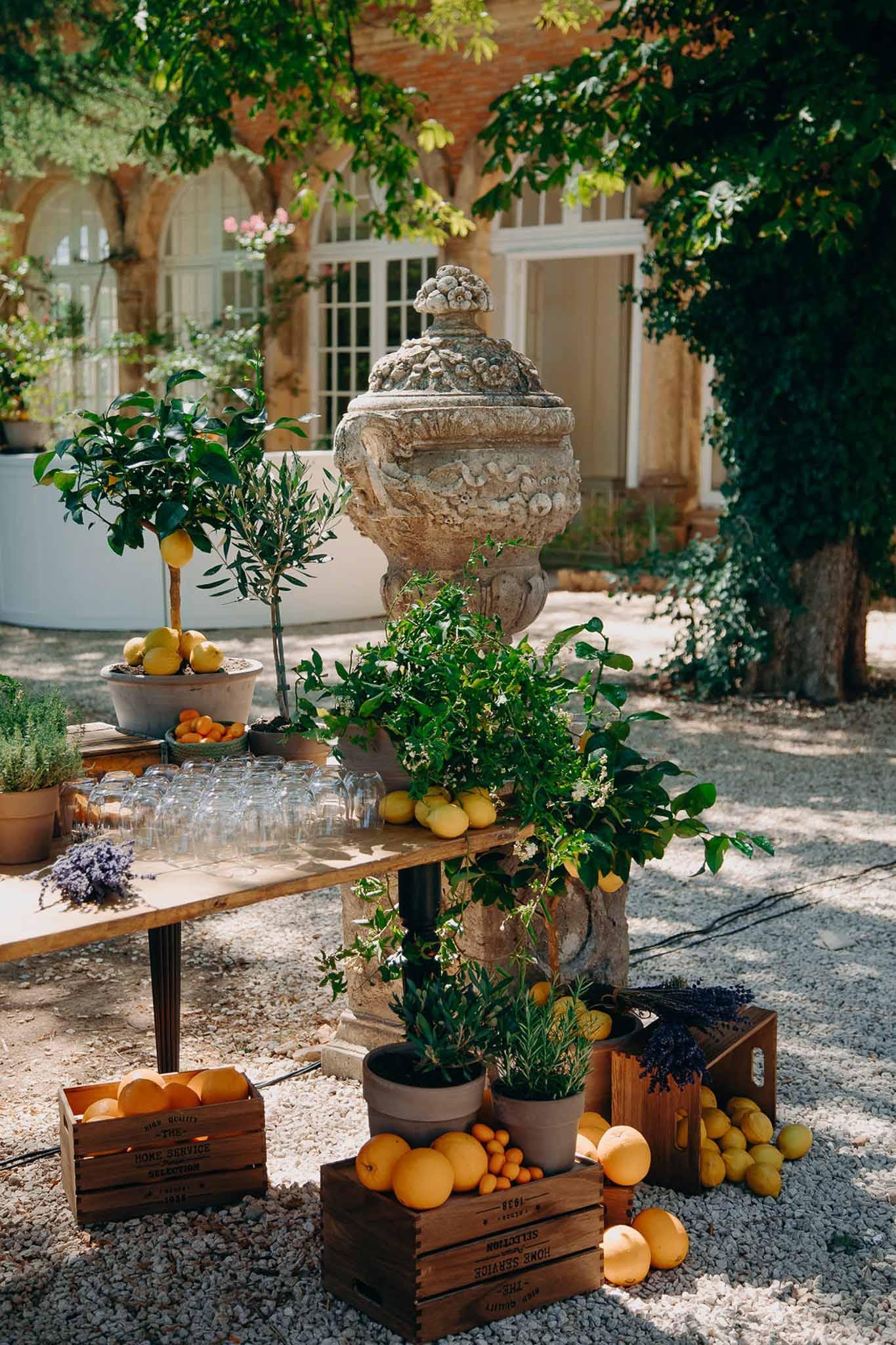 Provencal cocktail display with citrus crates, olive trees, and lavender on trestle table at stone manor