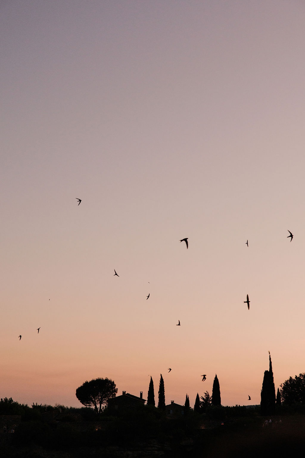 Provençal sunset sky with cypress trees and swifts at Airelles Gordes La Bastide, Provence