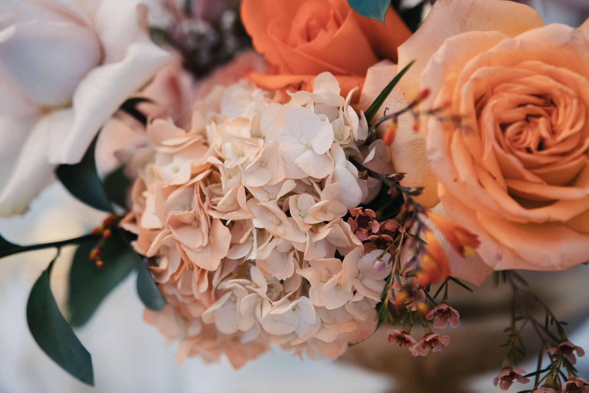 Alexandra Palombi portfolio 41