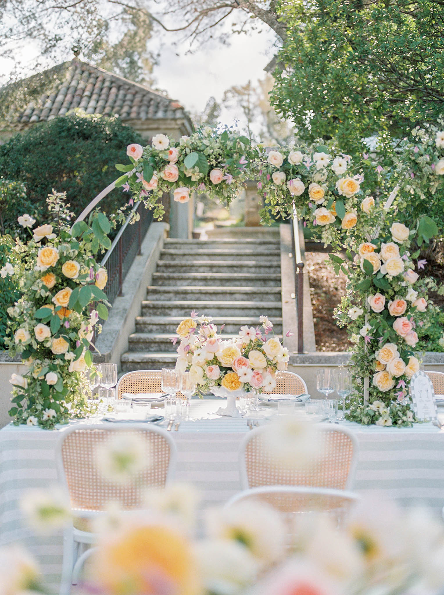 Juno Photo portfolio 45