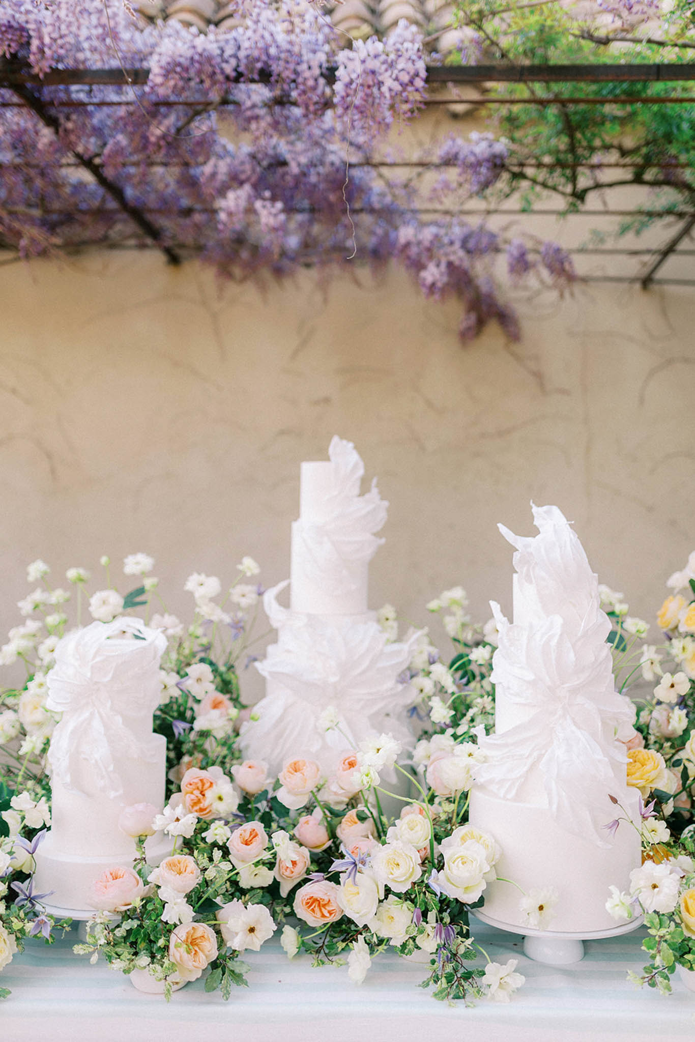 Juno Photo portfolio 39