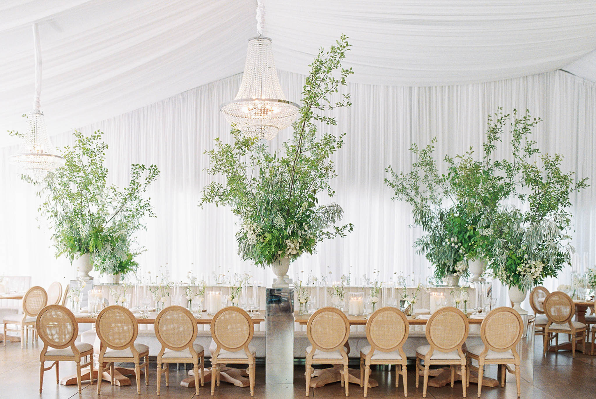 Juno Photo portfolio 49