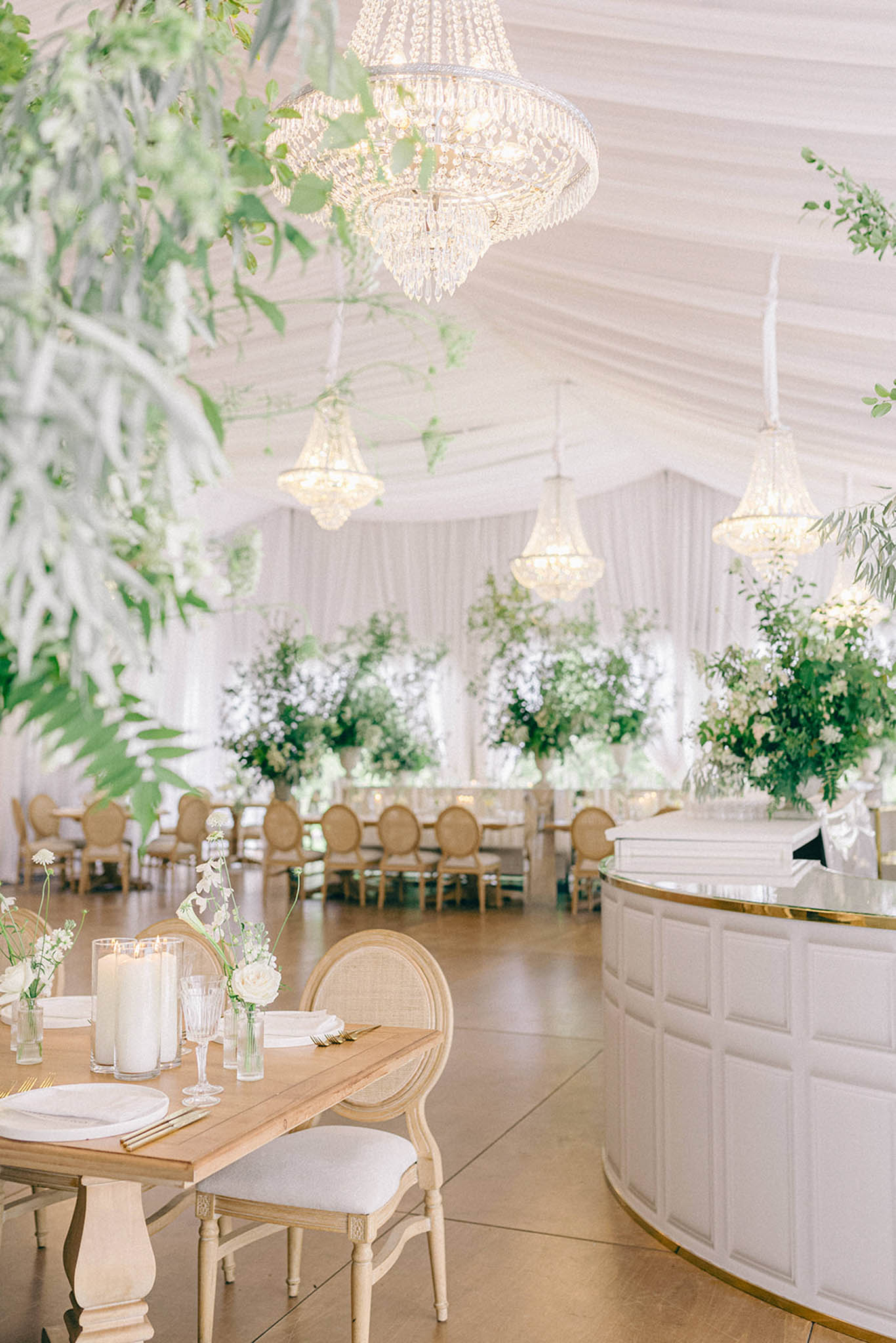 Juno Photo portfolio 44