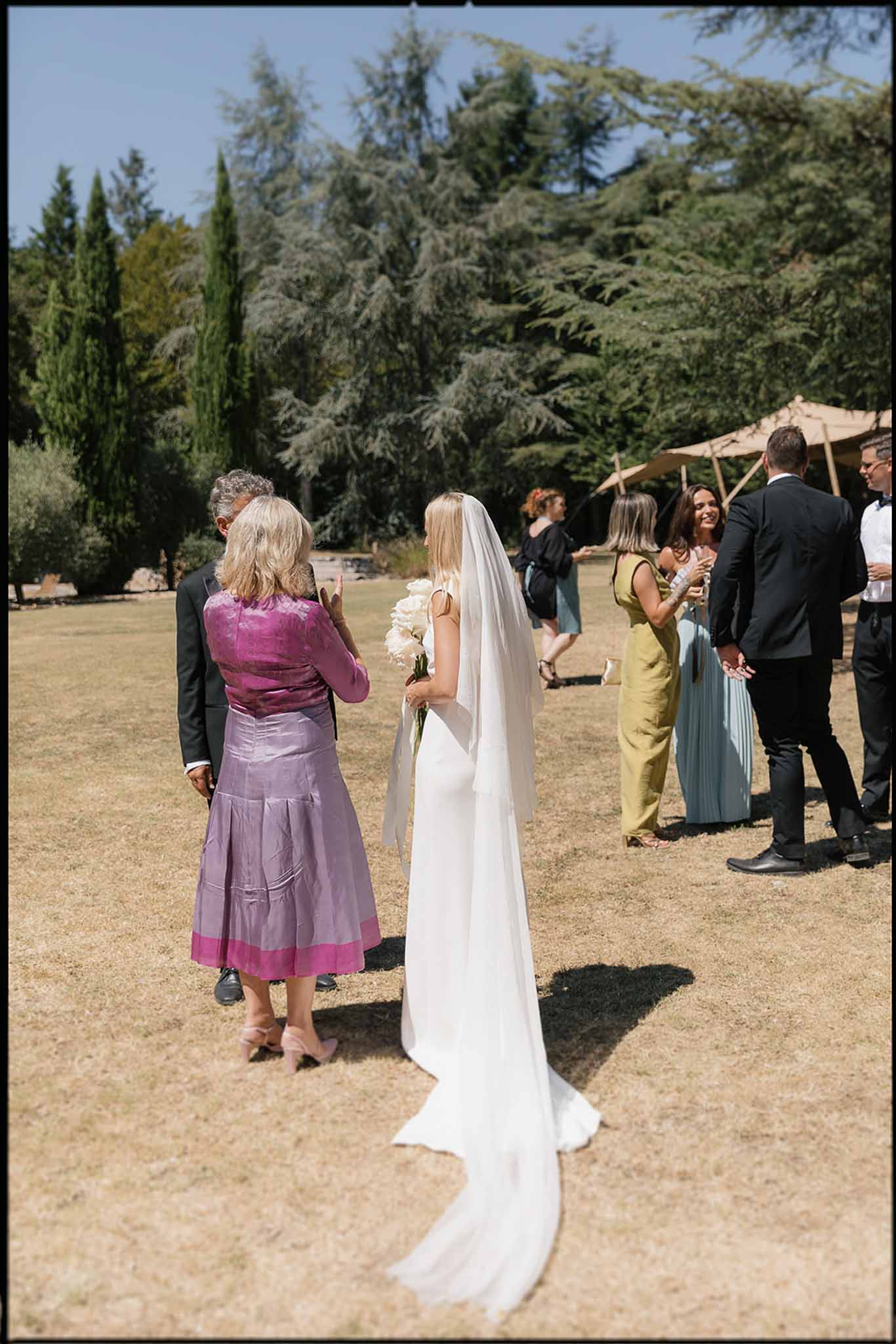 Bride from behind with cathedral veil mingling among guests on estate lawn with cypress trees