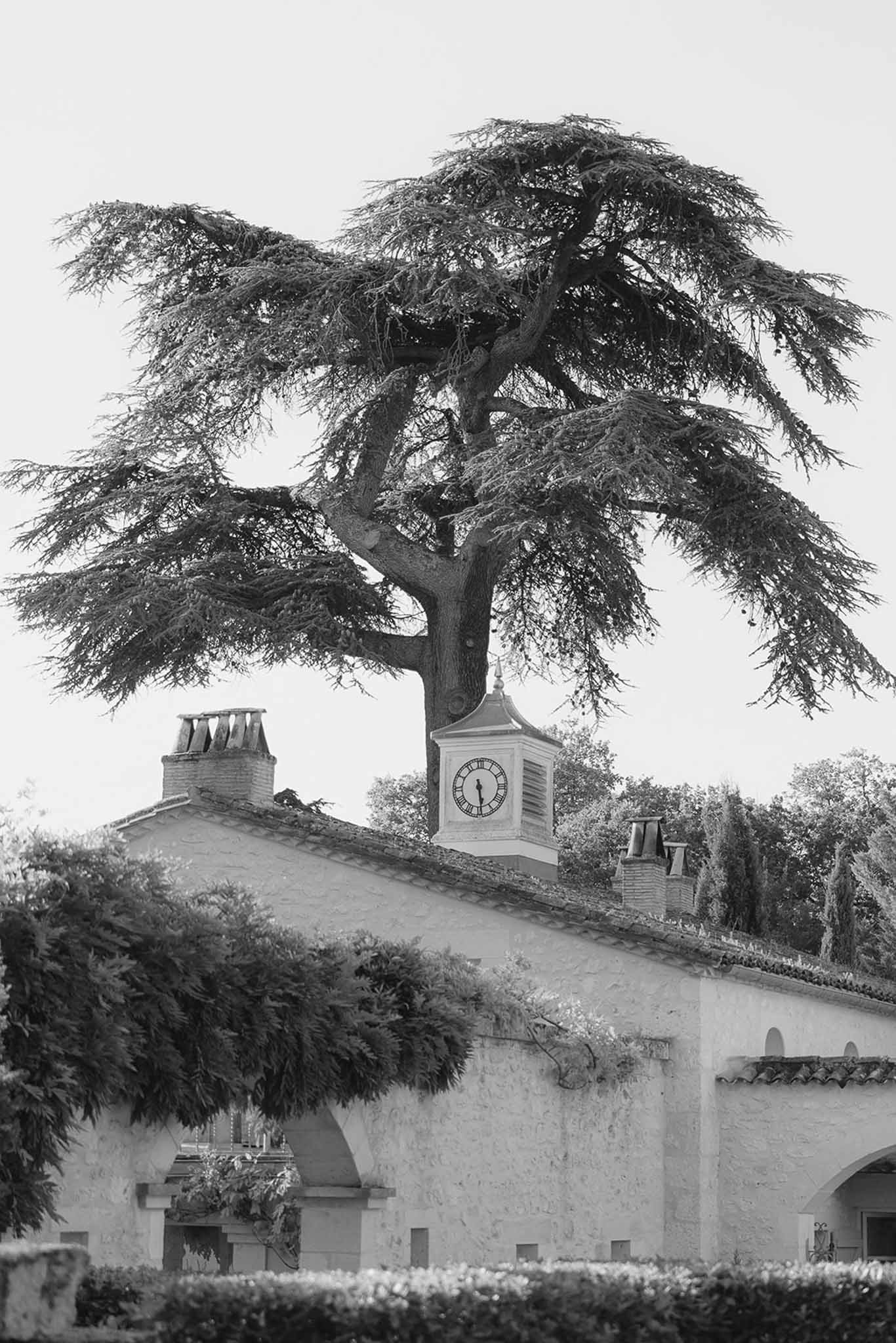 Black and white French country estate with clock tower cedar tree stone boundary wall and climbing foliage