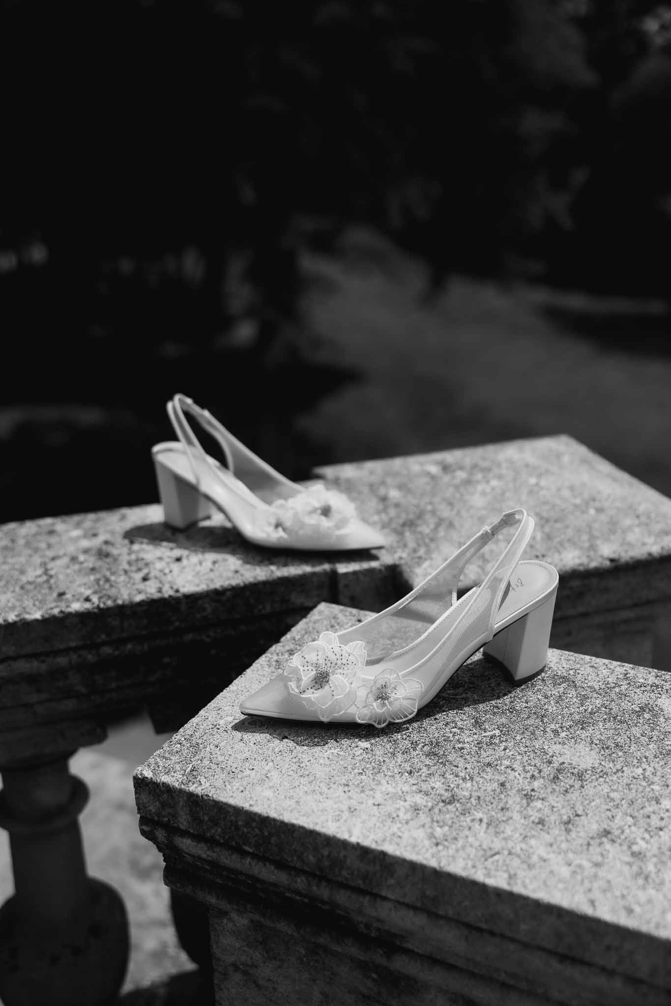 Black and white photo of wedding rings in a garden with white roses