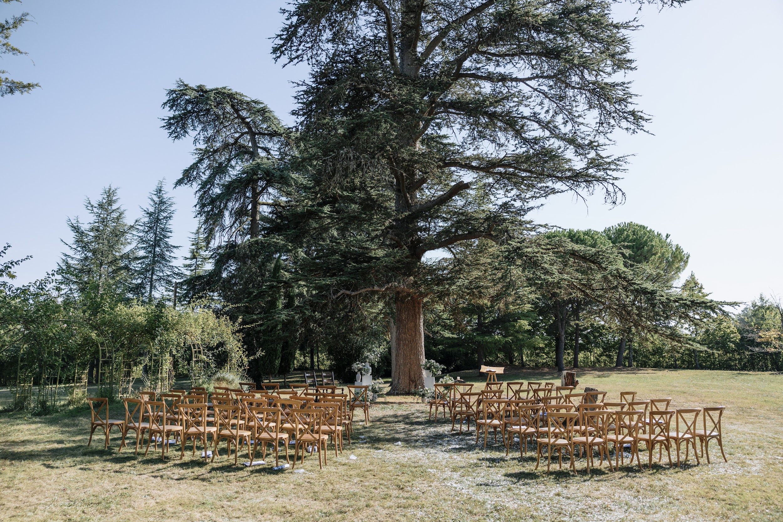 Cross-back chairs for 70 guests arranged under large cedar tree with greenery arch at estate grounds