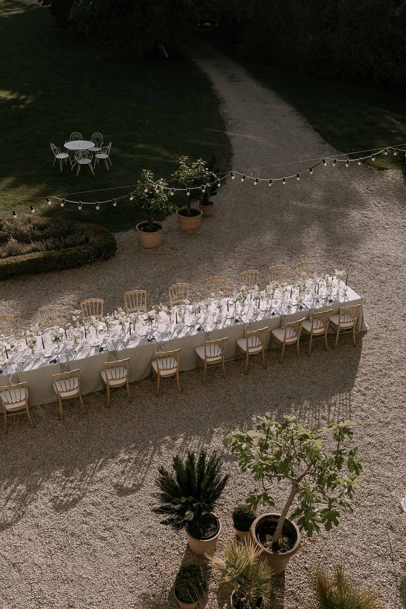 Aerial view of long white and green banquet table with Edison lights and potted citrus trees