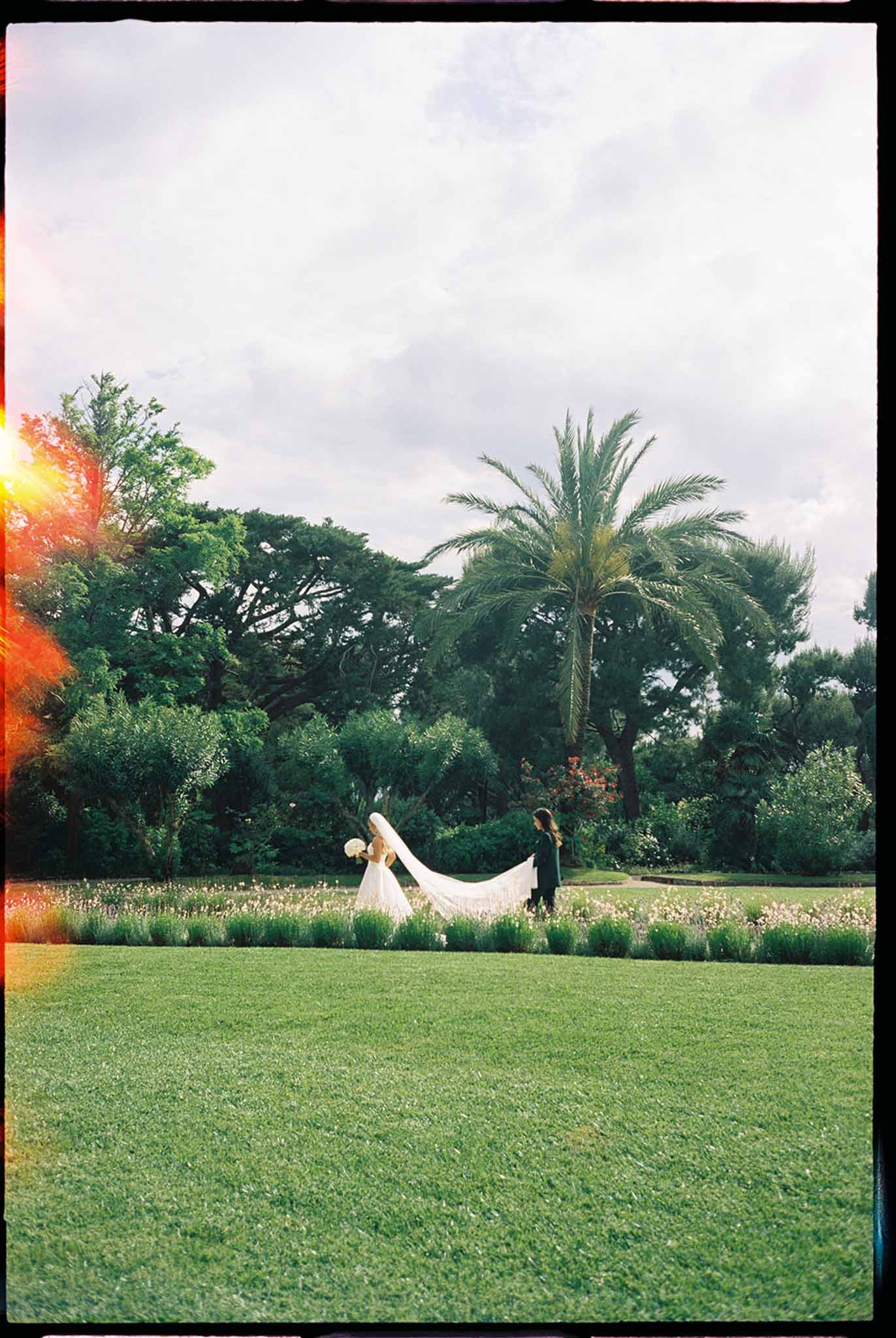 Bride with cathedral veil carried by attendant crossing formal garden with palm tree on film with lens flare