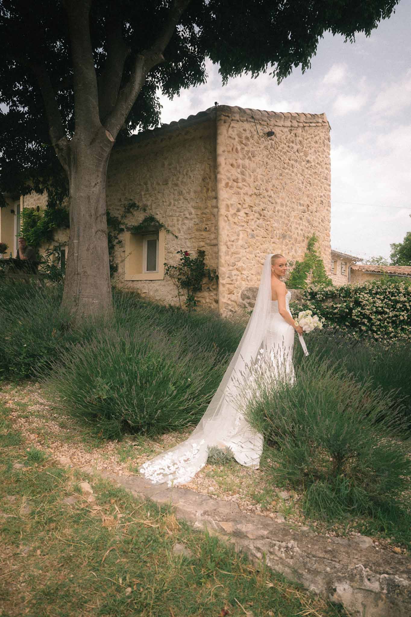 Bride glancing over shoulder in strapless gown with lace train and cathedral veil among lavender rows