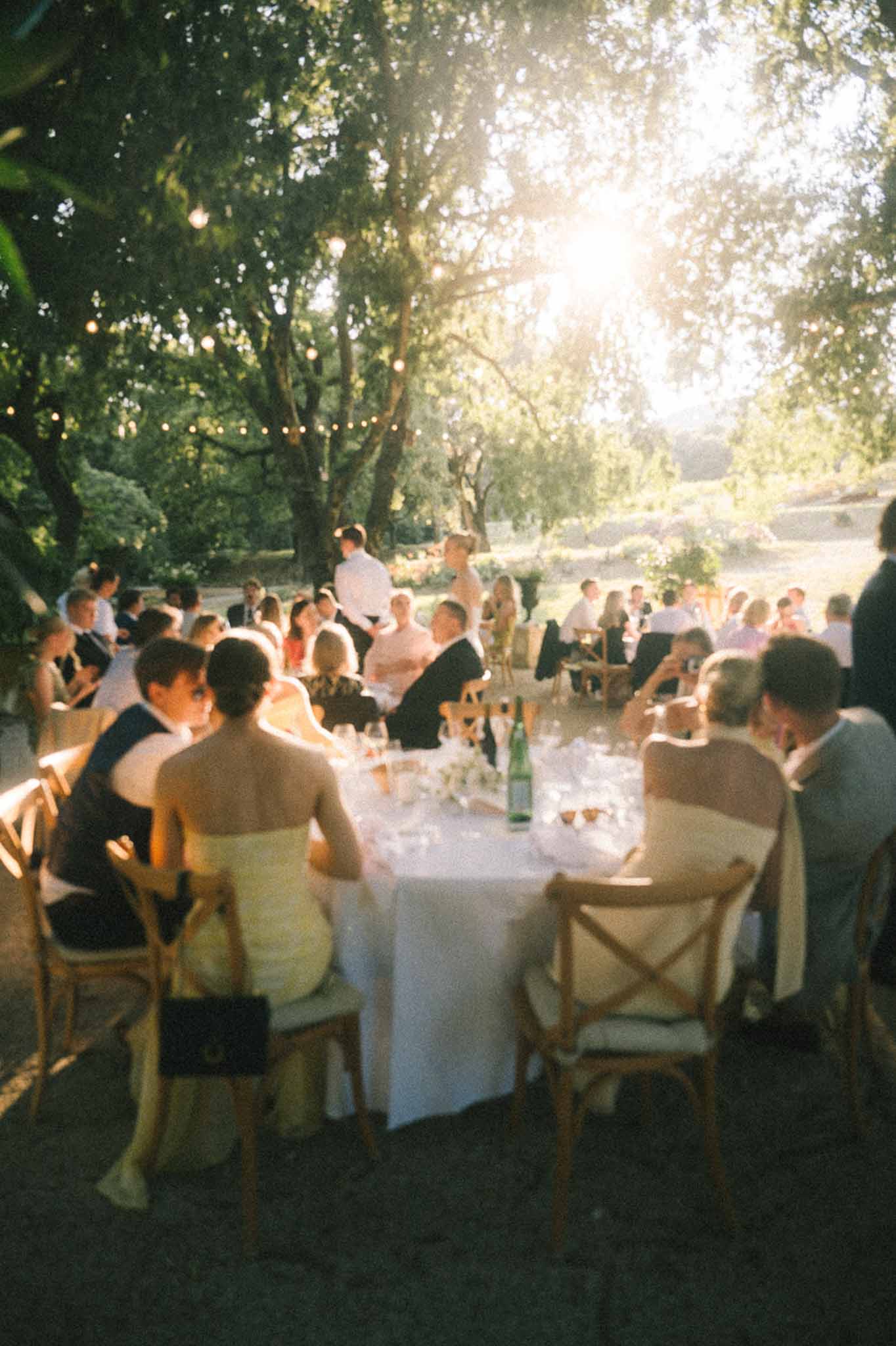 Outdoor reception dinner under trees with globe string lights at golden hour, guests seated at round tables