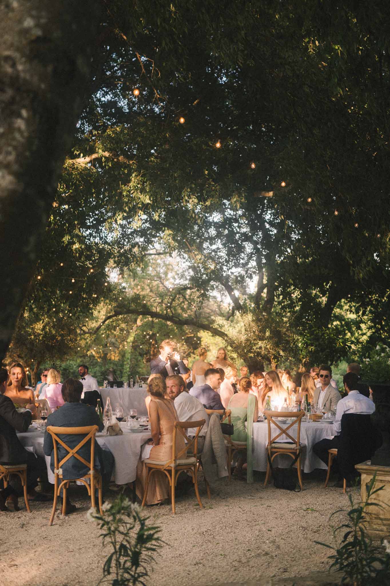 Al fresco dinner for 40 guests at long tables under festoon-lit tree canopy at dusk on country estate