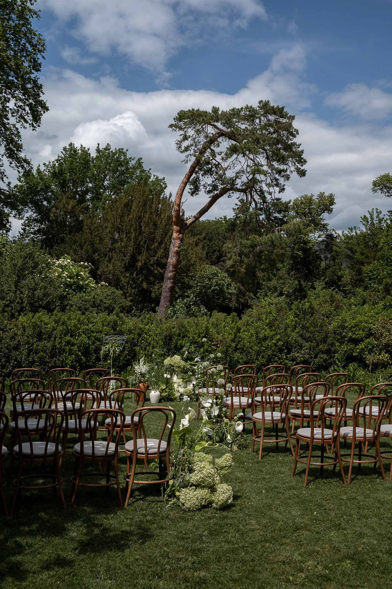 Outdoor ceremony setup with bentwood chairs on lawn white calla lily aisle arrangements and garden hedging