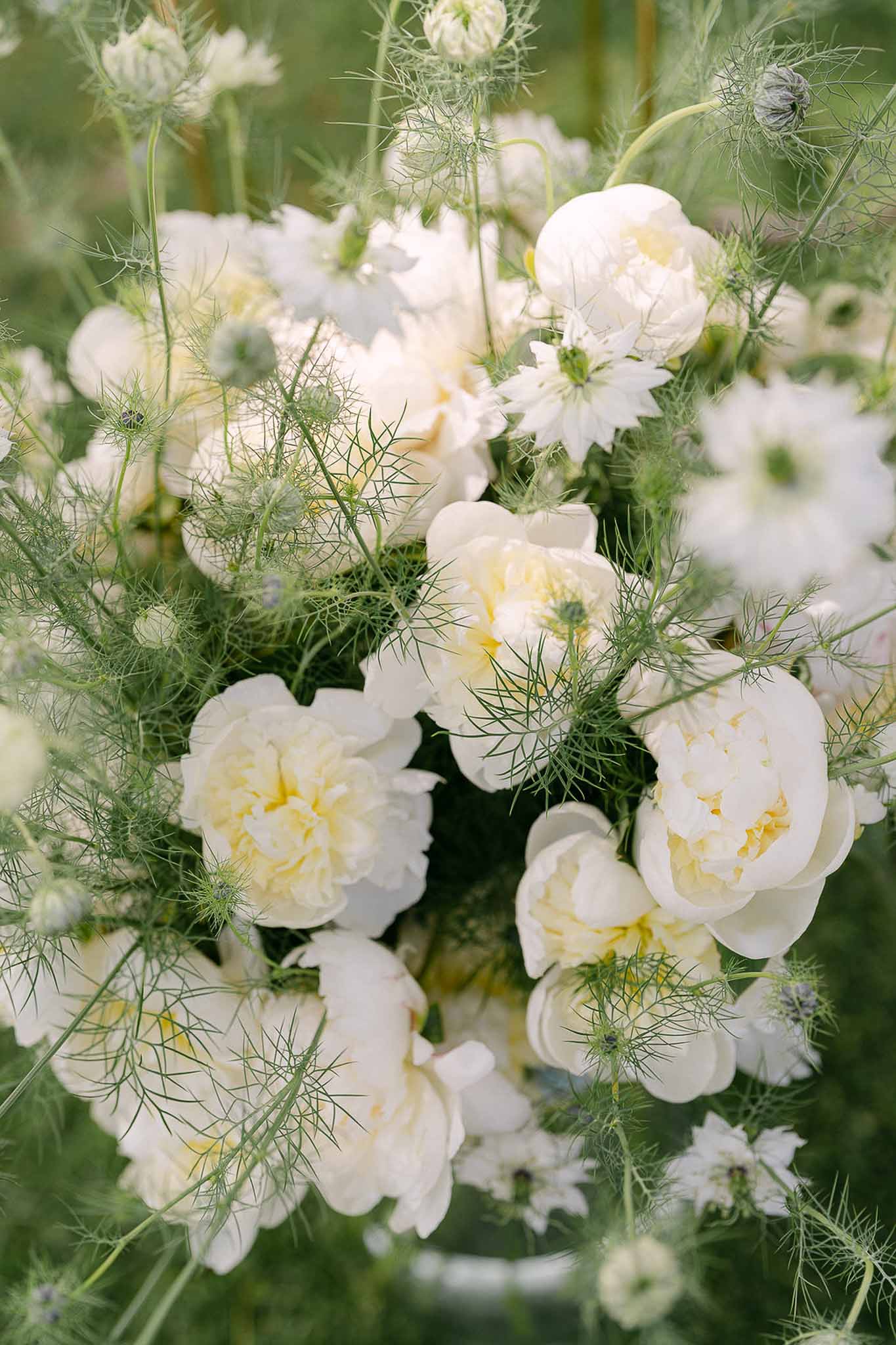 Close-up of ivory peonies with nigella love-in-a-mist blooms and feathery green foliage