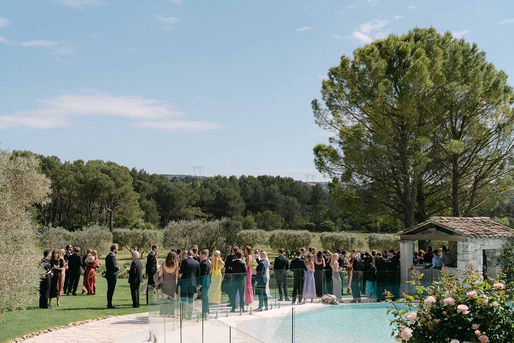 Poolside cocktail hour with 60 guests on terrace overlooking olive grove at Provencal property