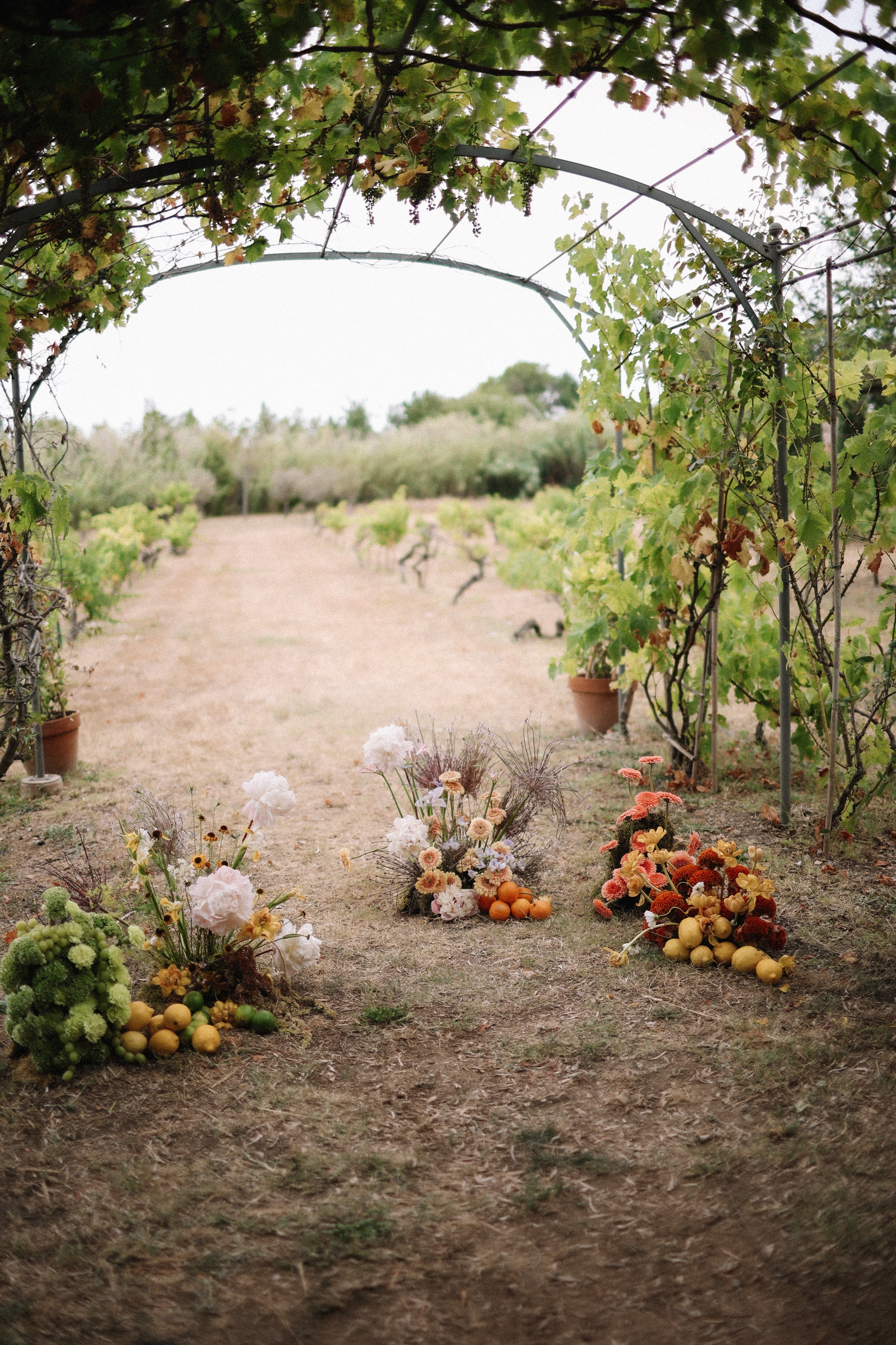 Aisle florals with citrus and peonies at Chateau du Puits es Pratx, Ginestas