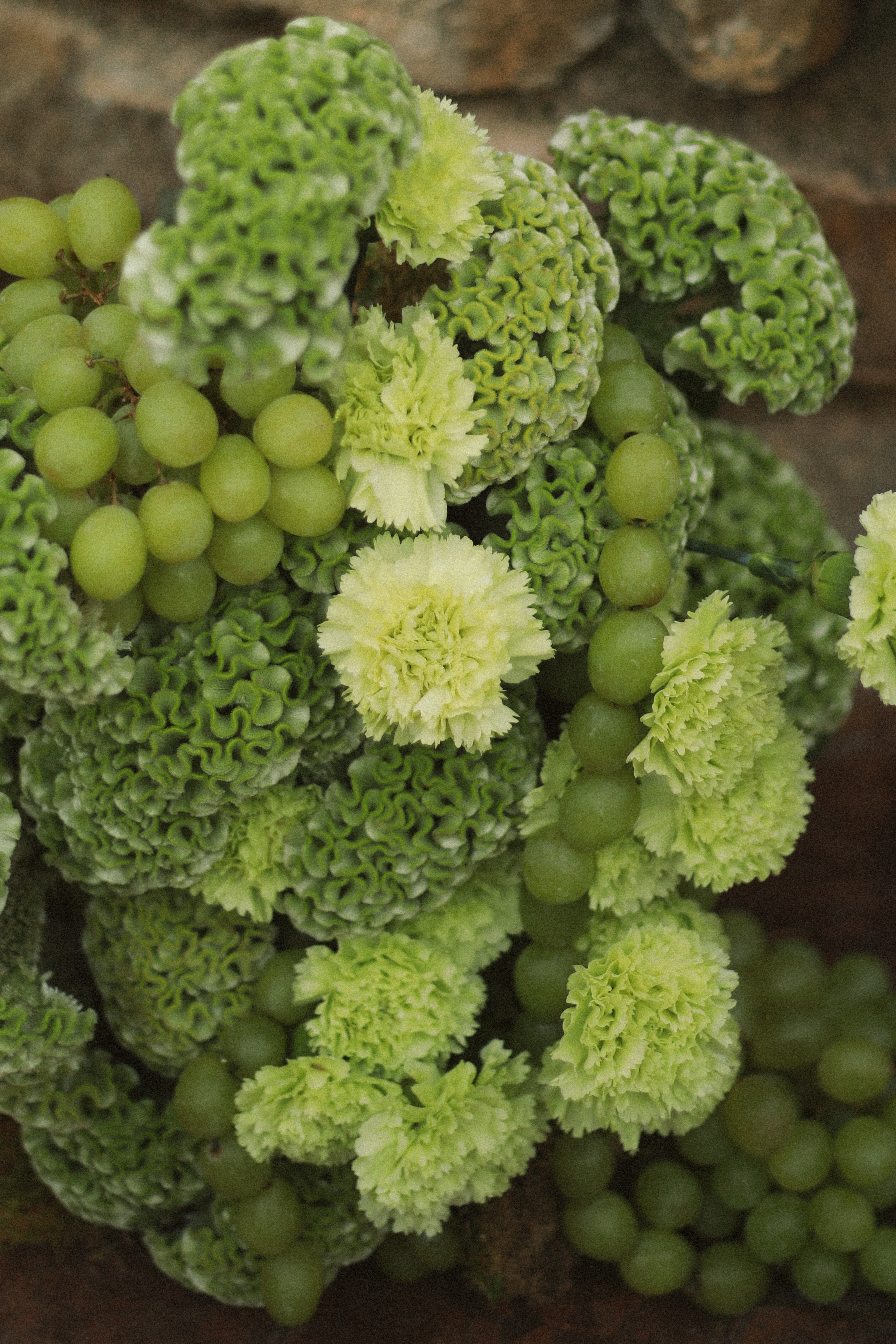 Green grapes and green carnations close up at Chateau du Puits es Pratx, Ginestas