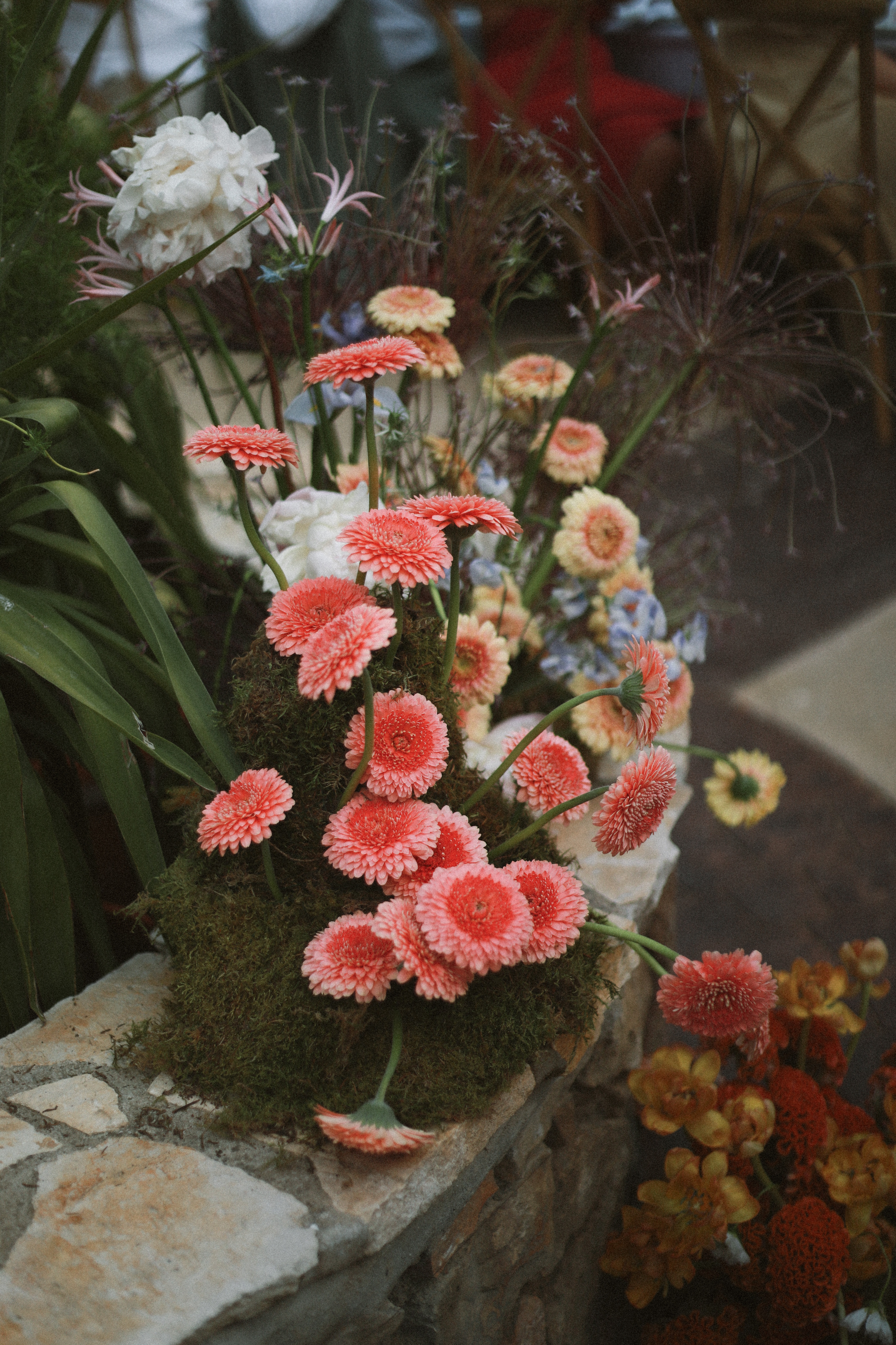 Coral gerbera and wild florals by stone fountain at Chateau du Puits es Pratx, Ginestas