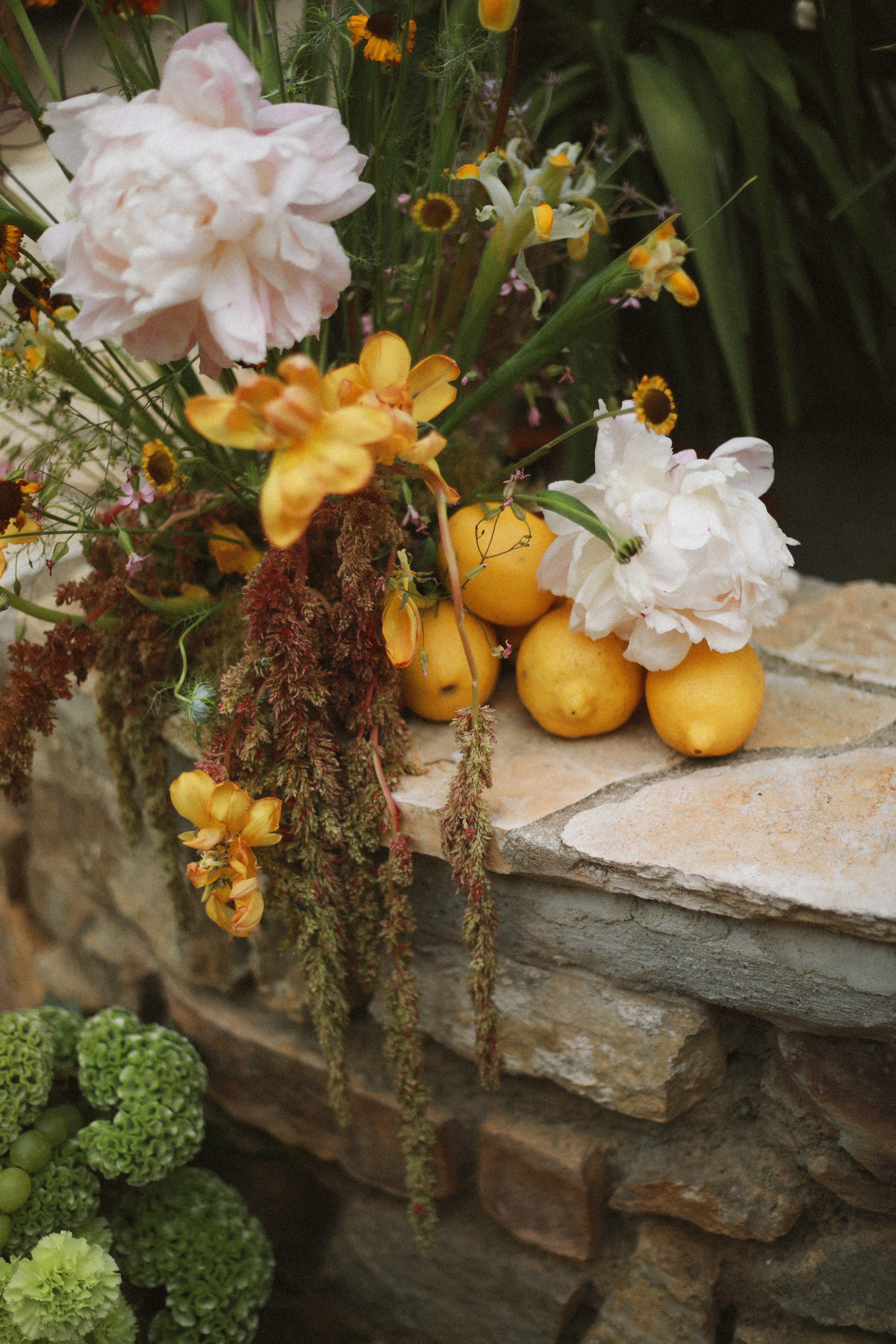 Lemons peonies and iris on stone ledge at Chateau du Puits es Pratx, Ginestas