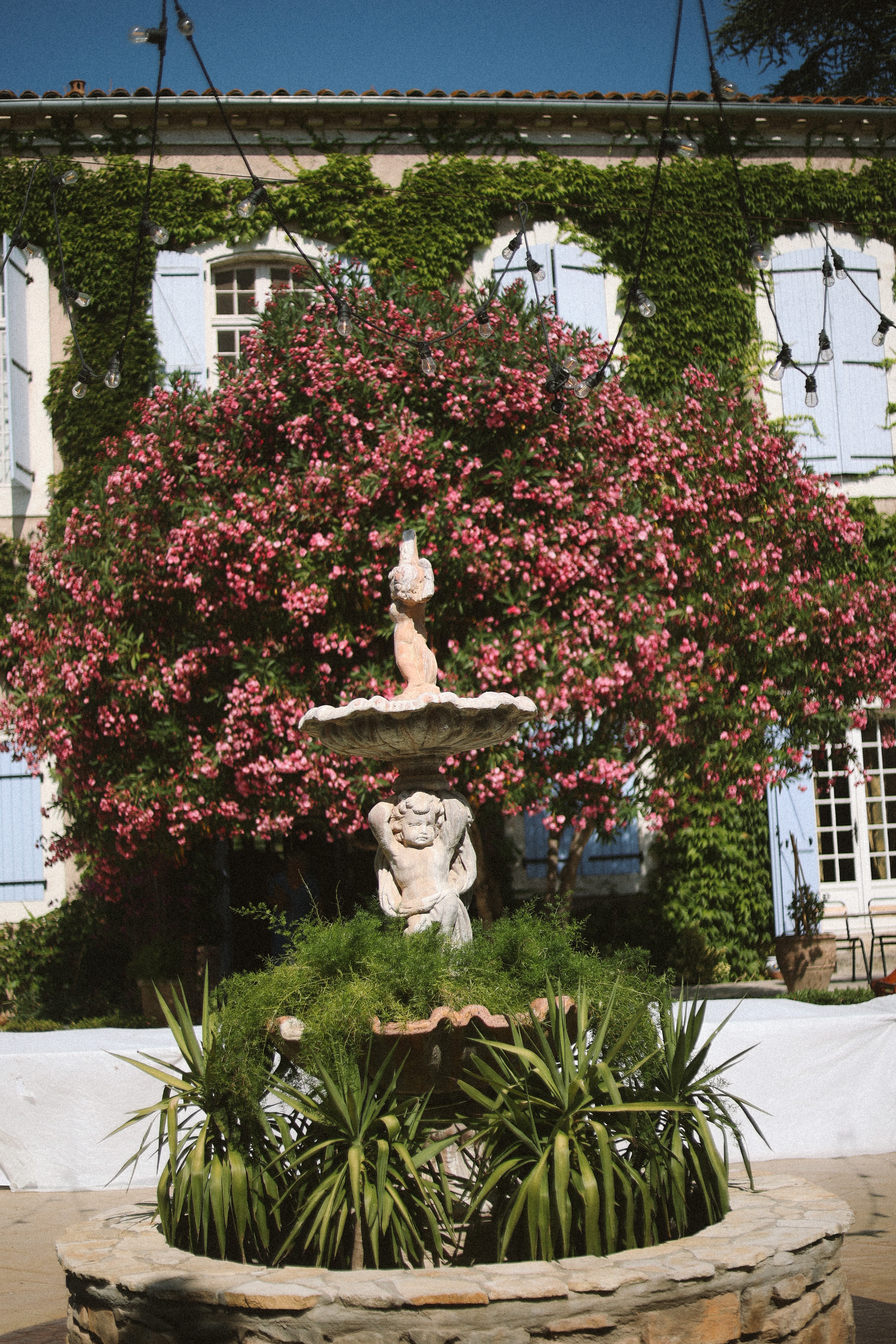 Fountain with cascading pink vines and blue shutters at Chateau du Puits es Pratx, Ginestas