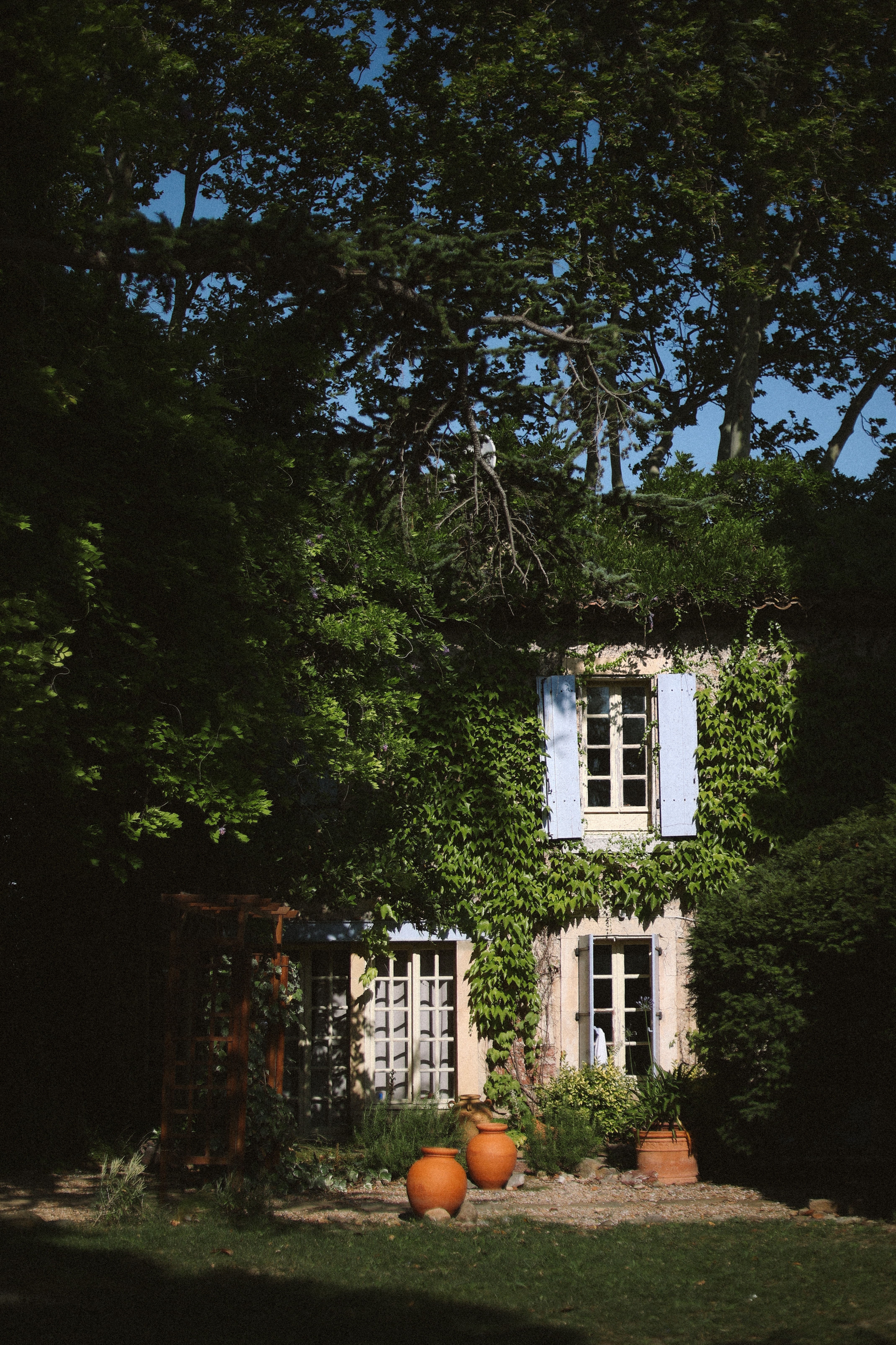 Ivy covered cottage beneath plane trees at Chateau du Puits es Pratx, Ginestas