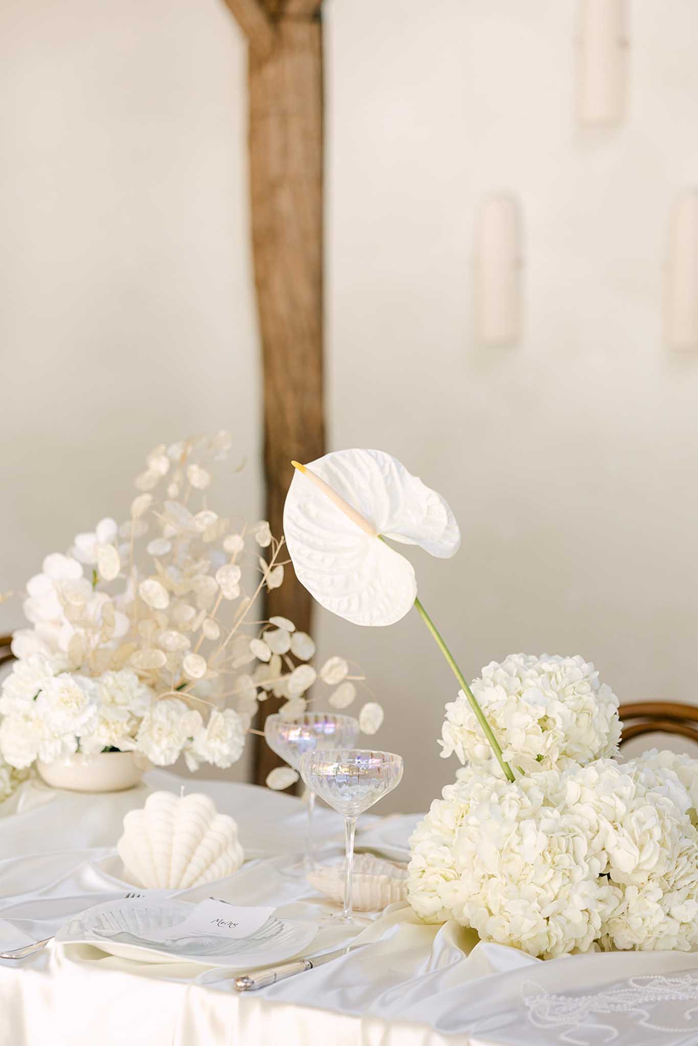 Elsa Daniel portfolio 51