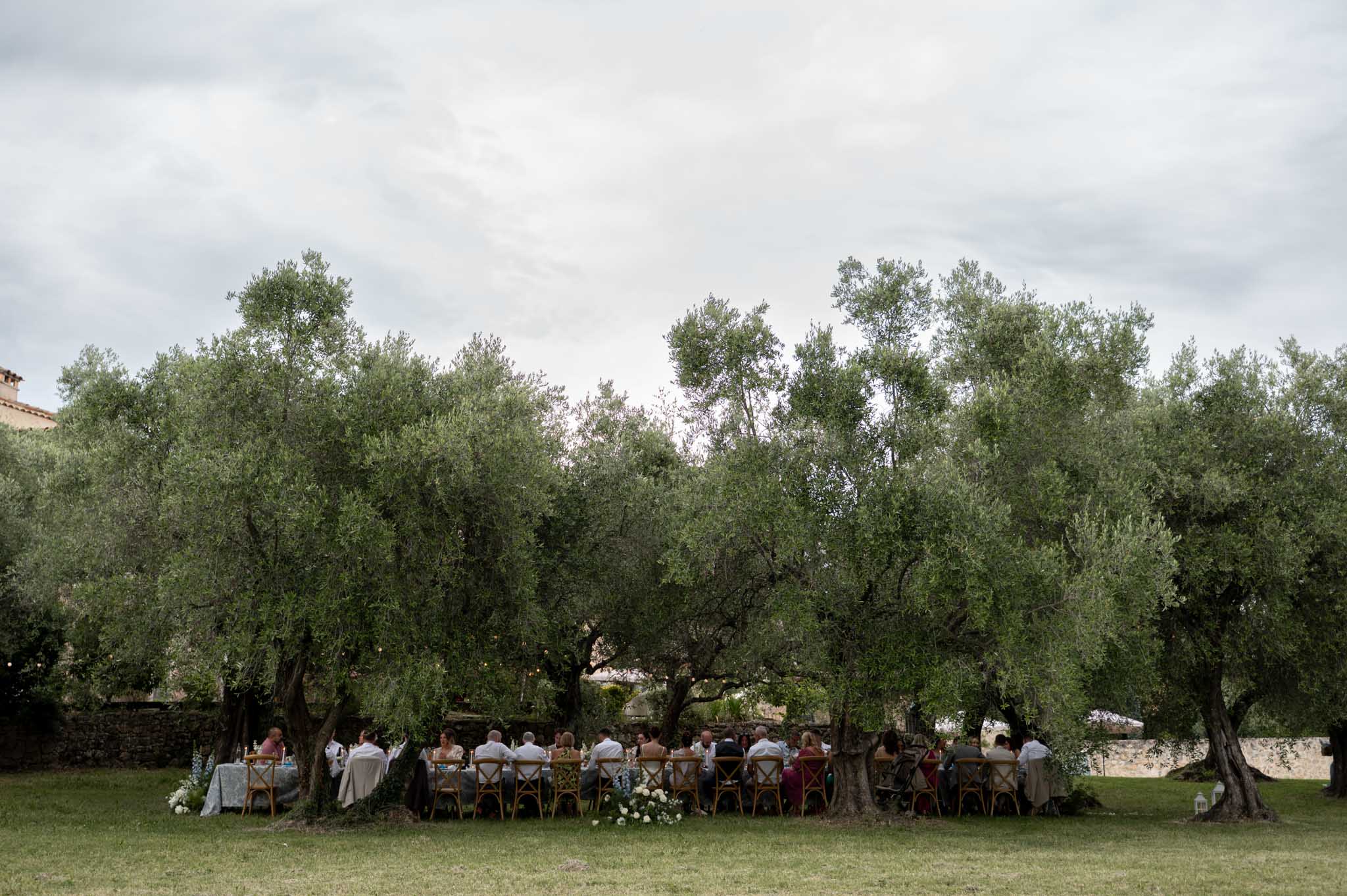 MCAELICIA portfolio 31