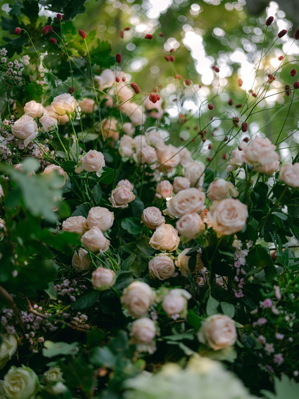 full wedding party portrait on the lawn at La Bastide de Laurence, Provence