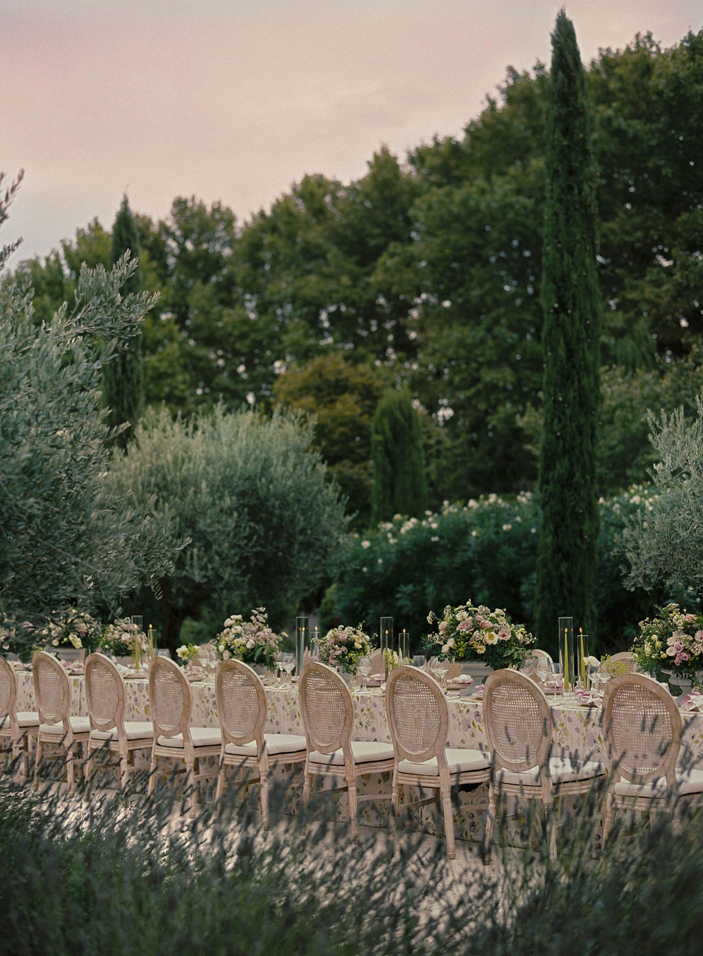 long dinner table set down the olive allee at La Bastide de Laurence, Provence
