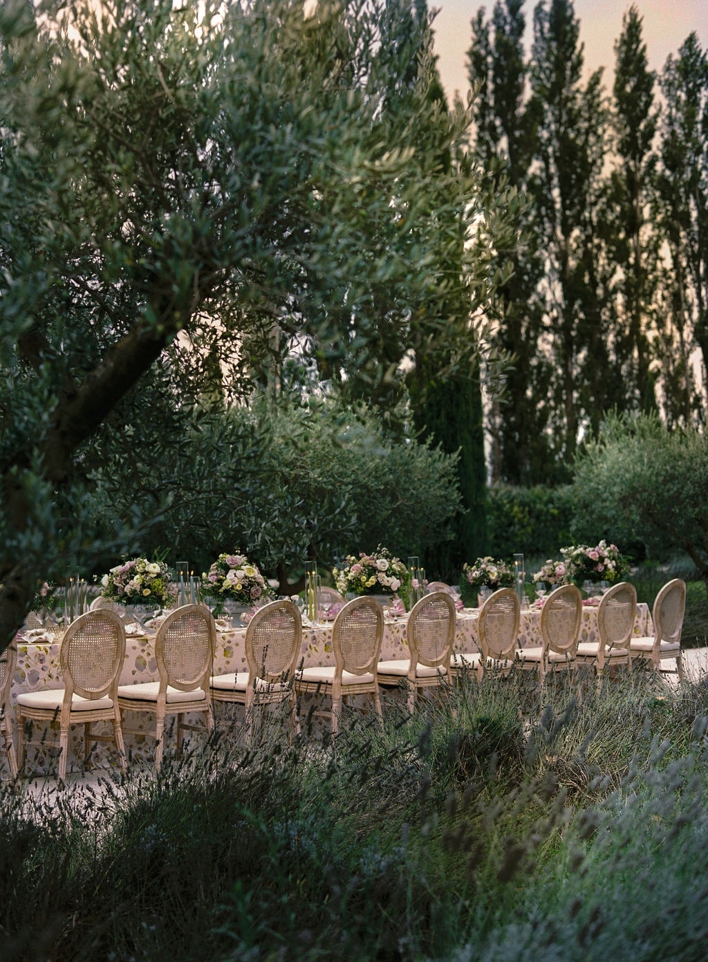 bride smiling during a toast at La Bastide de Laurence, Provence